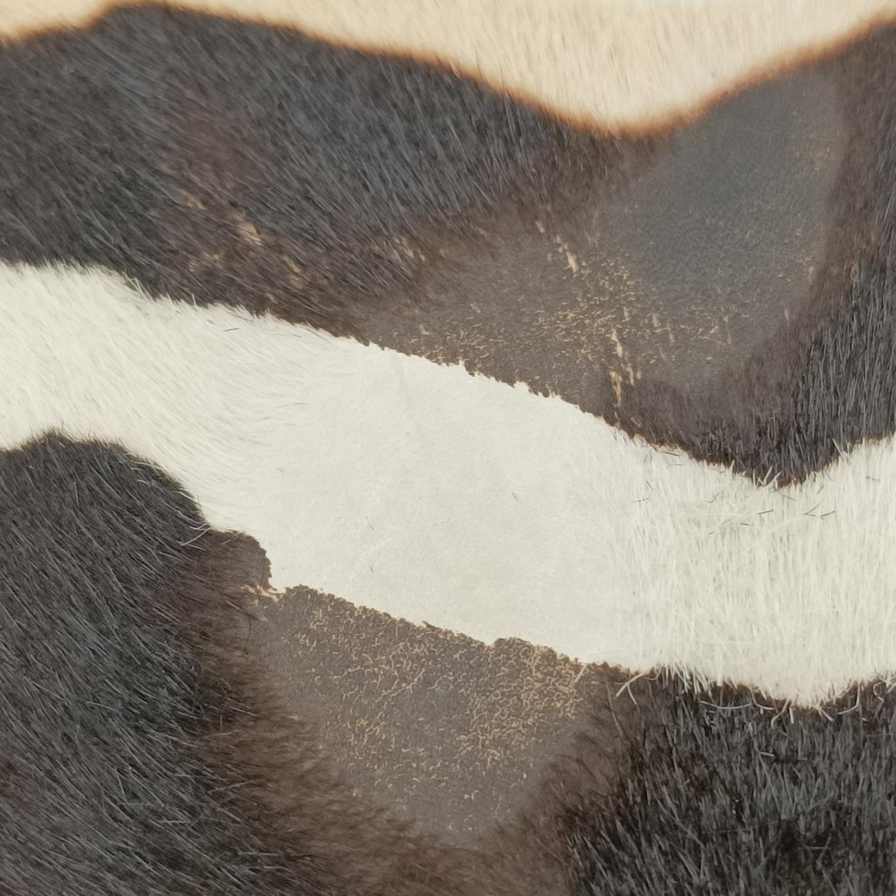 bamboo shopper Beige x Black x White ponyhair 323658 H016653138バンブーショッパー ベージュ x ブラック x ホワイト ハラコ 323658 H016653138