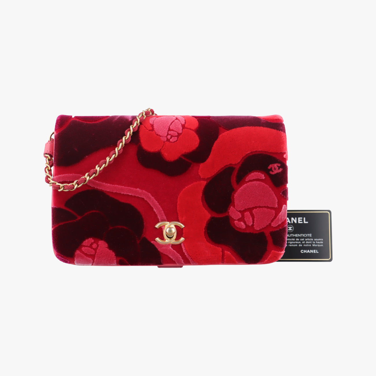 Camellia Red×Multicolour velour A91812 24426466カメリア レッド×マルチカラー ベロア A91812 24426466