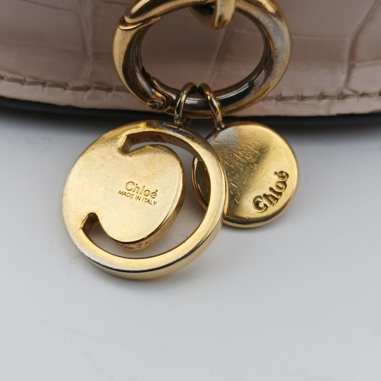 Nile Minaudiere pink Leather 02-19-99-65ナイル ミノディエール ピンク レザー 02-19-99-65