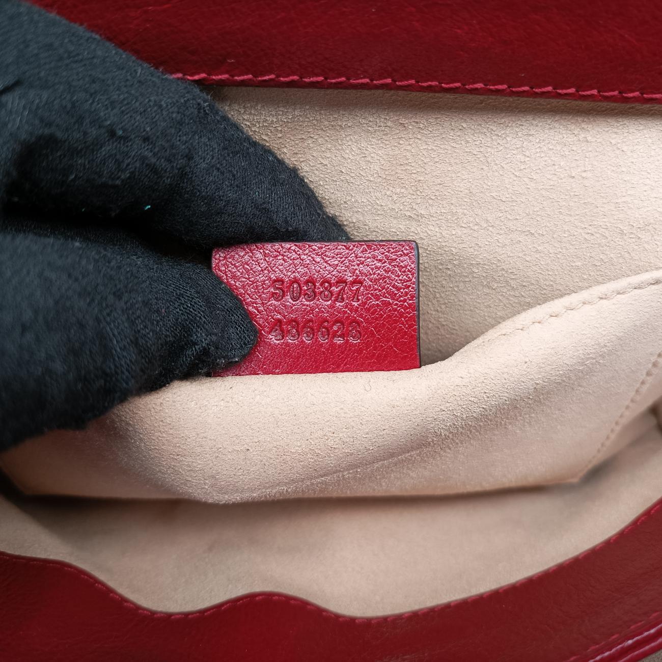 Ophidia Navy×red Suede 503877 B027409594オフィディア ネイビー×レッド スエード 503877 B027409594