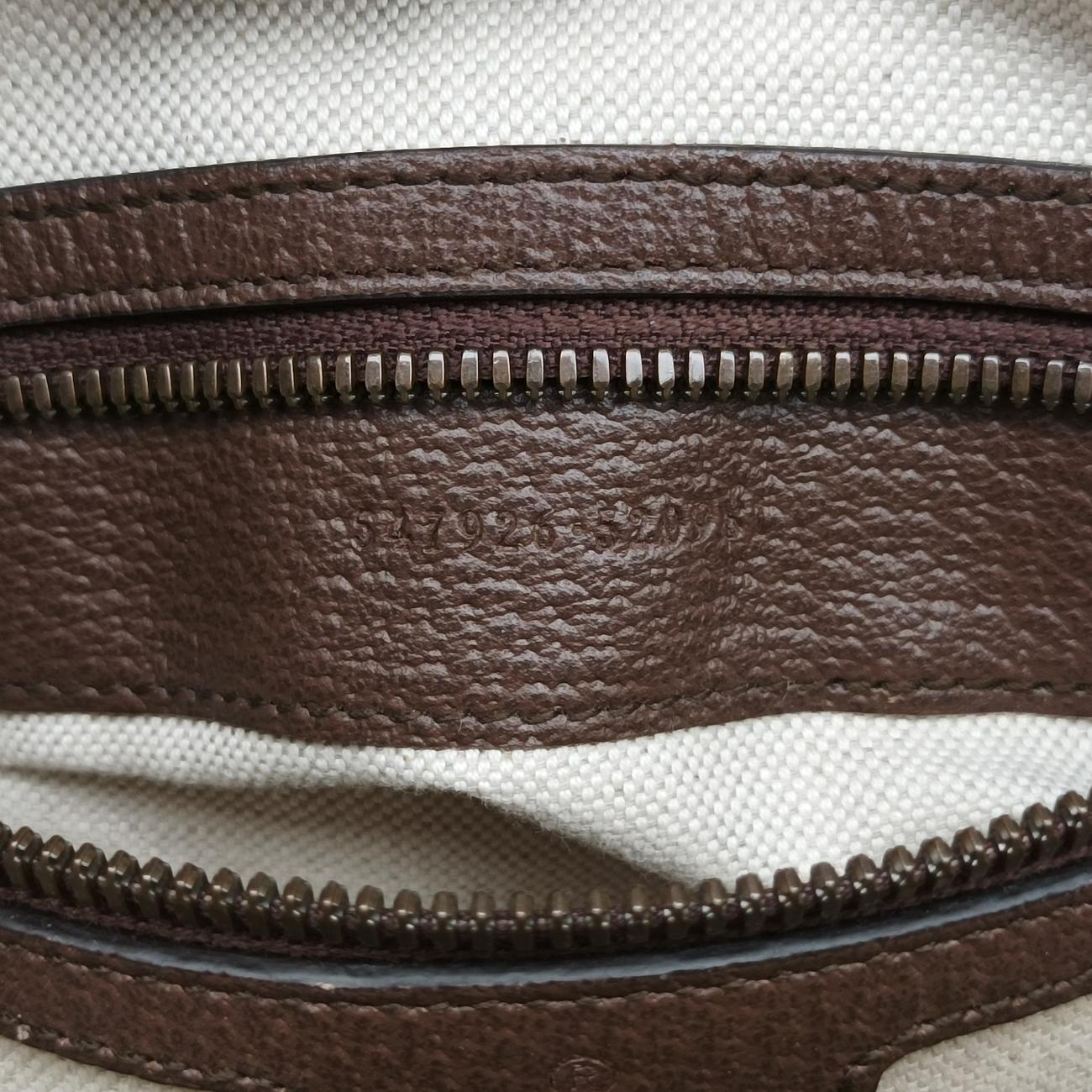 Ophidia Brown×green×red PVC coated canvas 547926 A038071925オフィディア ブラウン×グリーン×レッド PVCコーティングキャンバス 547926 A038071925