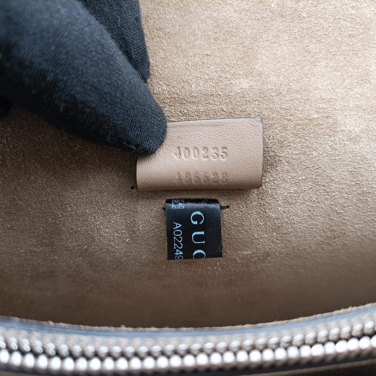 Dionysus beige×Multicolour PVC coated canvas 400235 A022494469ディオニュソス ベージュ×マルチカラー PVCコーティングキャンバス 400235 A022494469