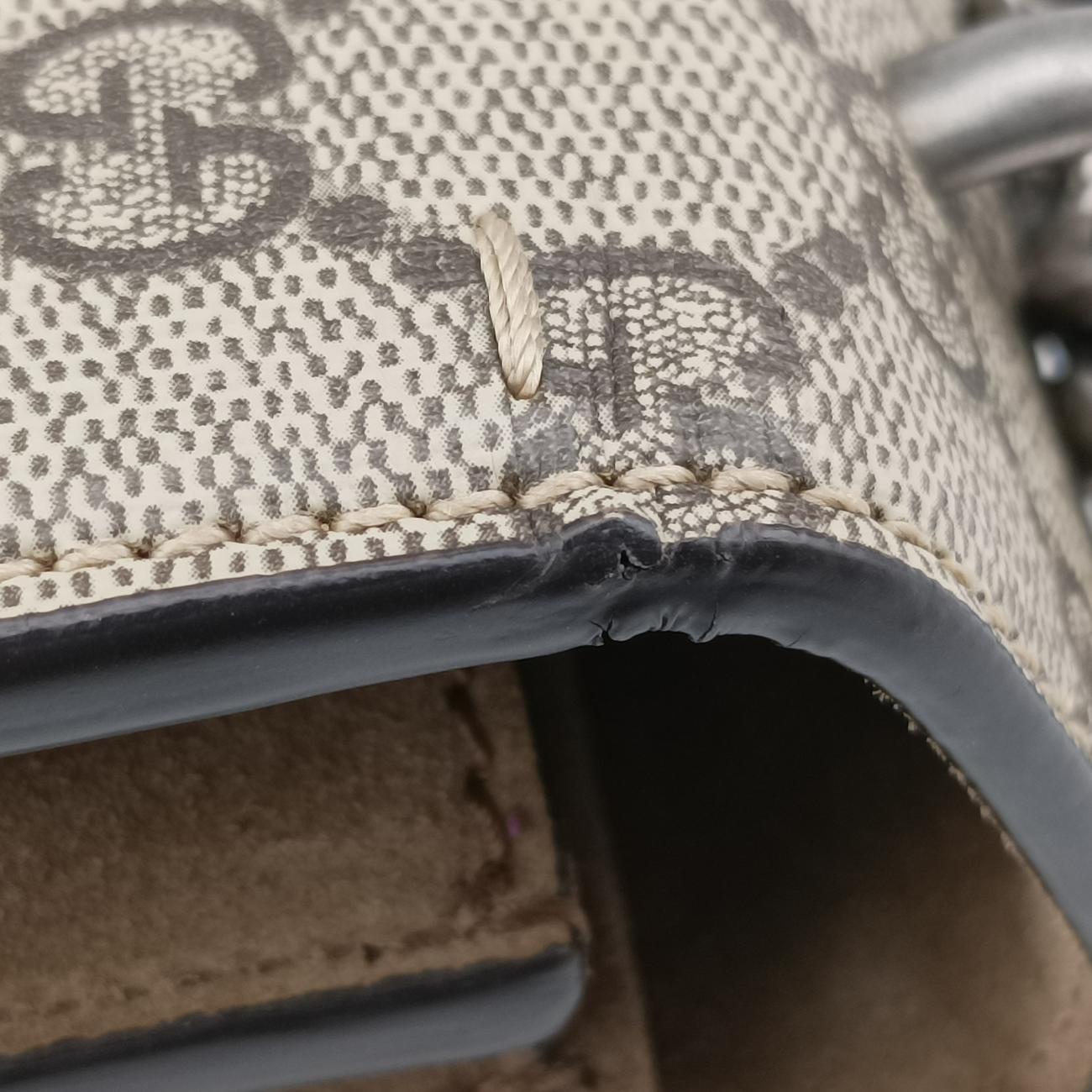 Dionysus beige×Multicolour PVC coated canvas 400235 A022494469ディオニュソス ベージュ×マルチカラー PVCコーティングキャンバス 400235 A022494469