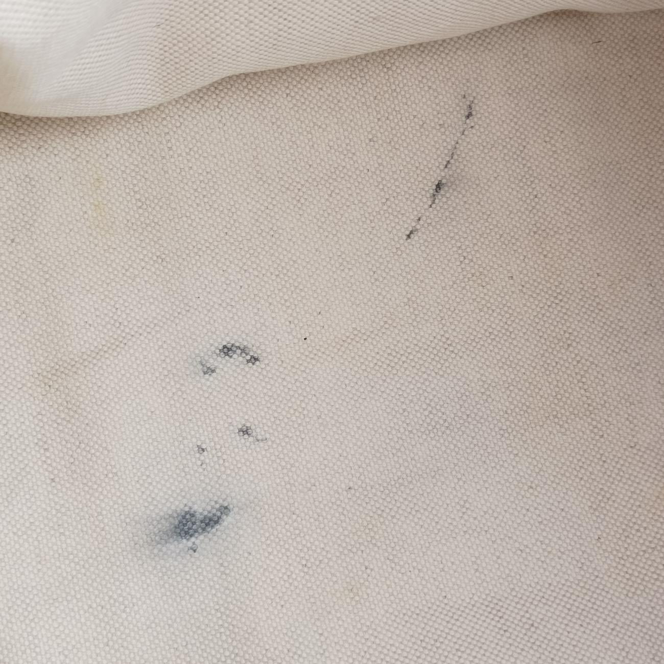 Sherry Line Orange x blue Leather 247205 E9107055シェリーライン オレンジ×ブルー レザー 247205 E9107055