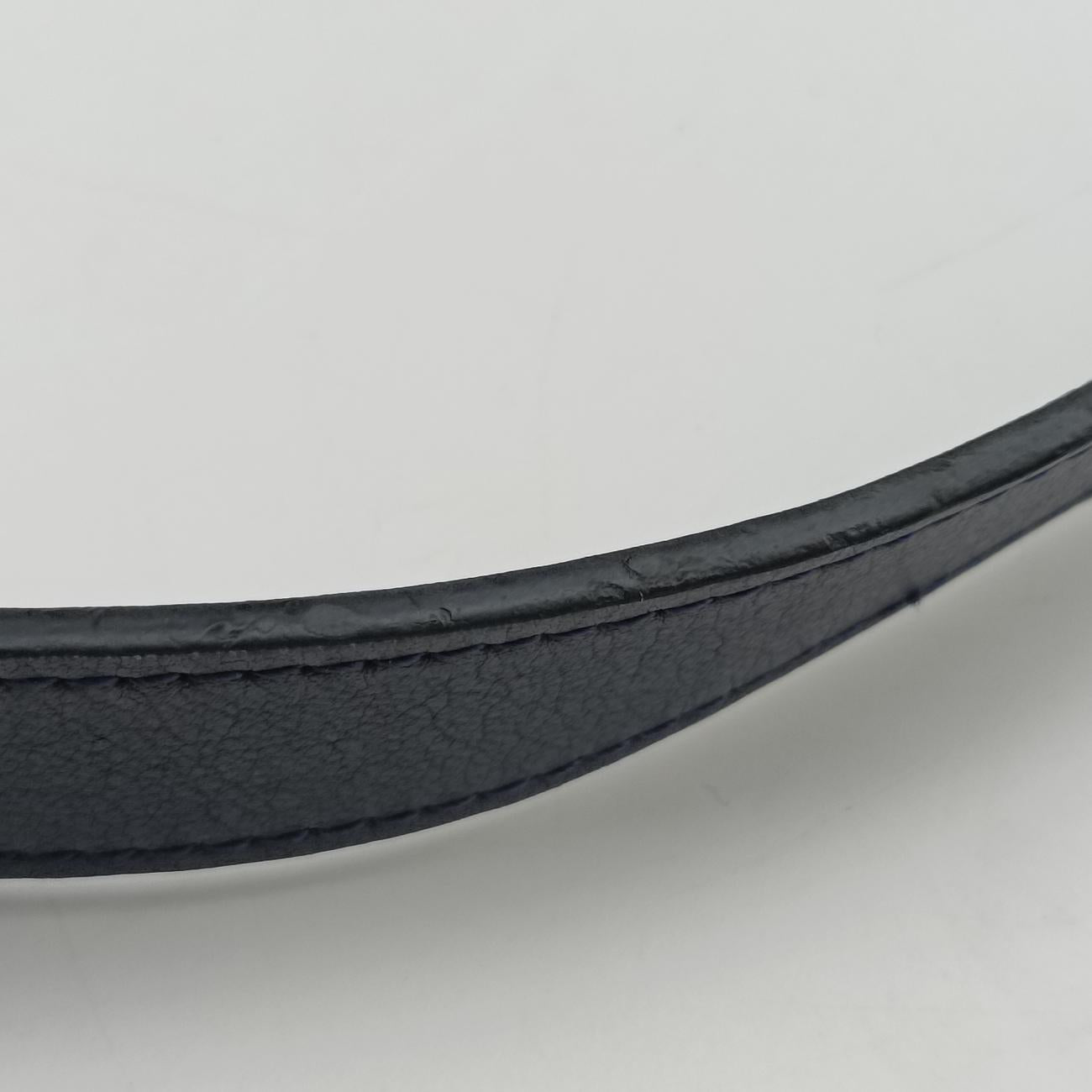 Hammock Blue leather 061610ハンモック ブルー レザー 061610