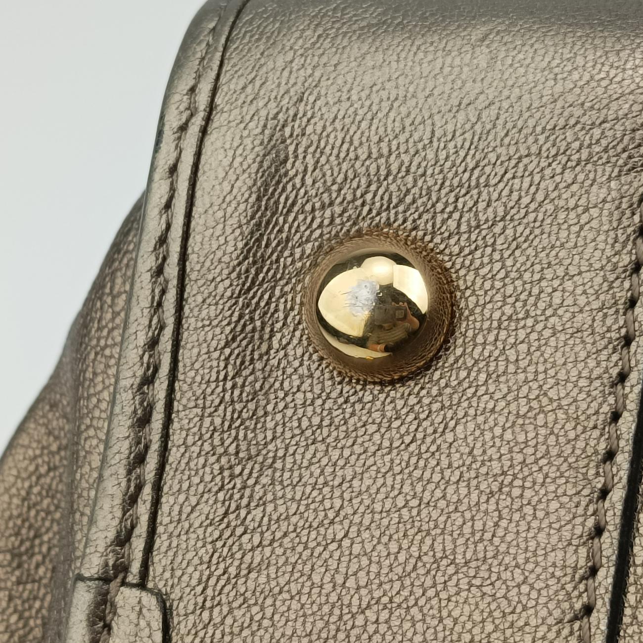 Amazona 36 Golden Leather 061106アマソナ36 ゴールド レザー 061106