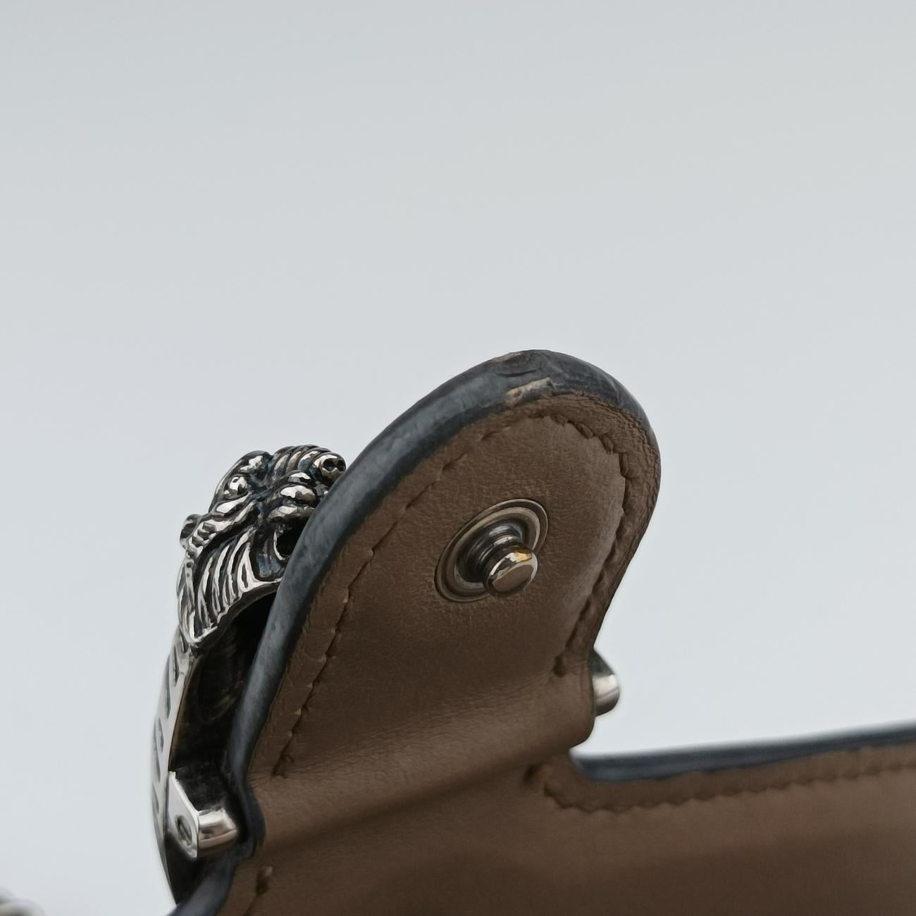 Dionysus Brown PVC coated canvas 476432 ディオニュソス ブラウン PVCコーティングキャンバス 476432 