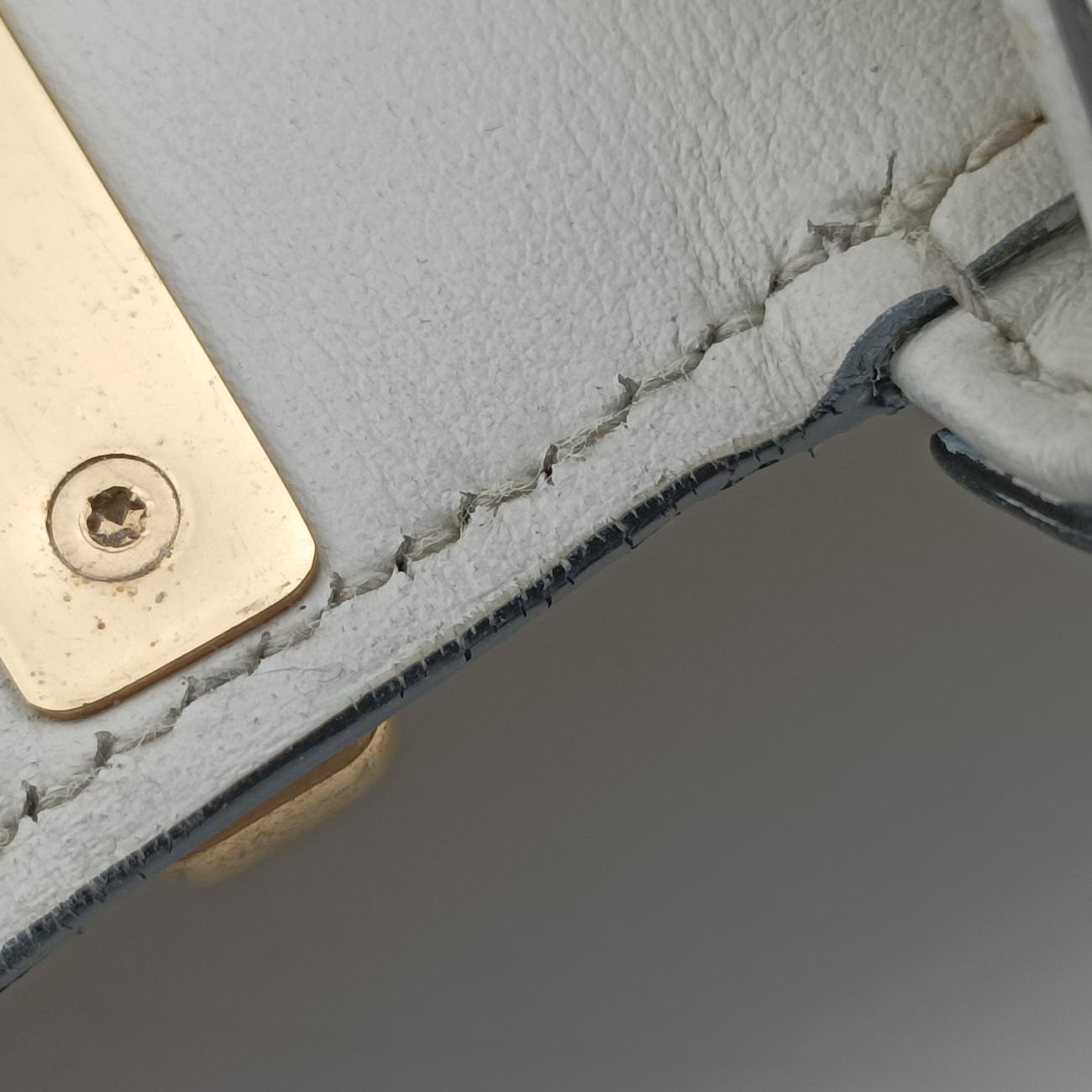 Sidonie White SAFFIANO　Leather 1BD219 25 Fシドニー ホワイト サフィアーノレザー 1BD219 25 F