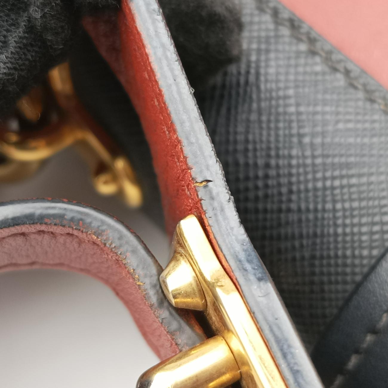 Animalier Cahier Lions Head Burgundy×black Leather 1BD089 25カイエ ライオンヘッド ワインレッド×ブラック レザー 1BD089 25