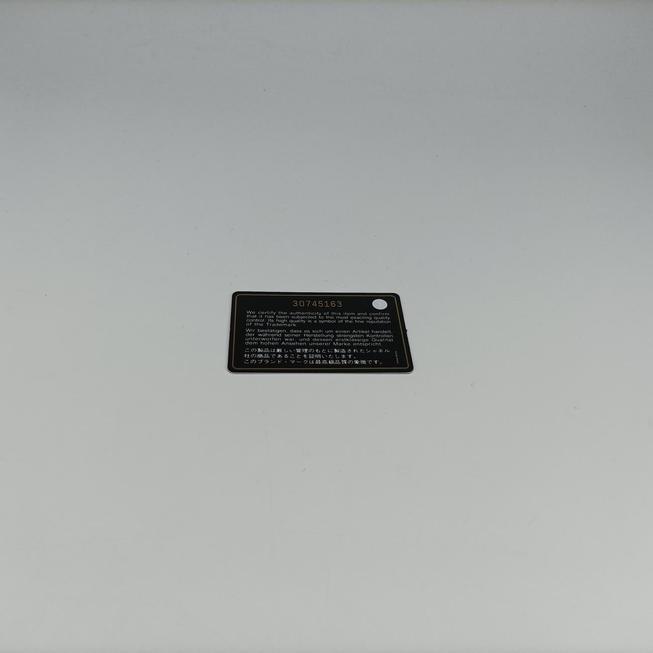 CHANEL 19 Round Green Sequins×Leather AP0945 30745163シャネル19ラウンド グリーン スパンコール×レザー AP0945 30745163