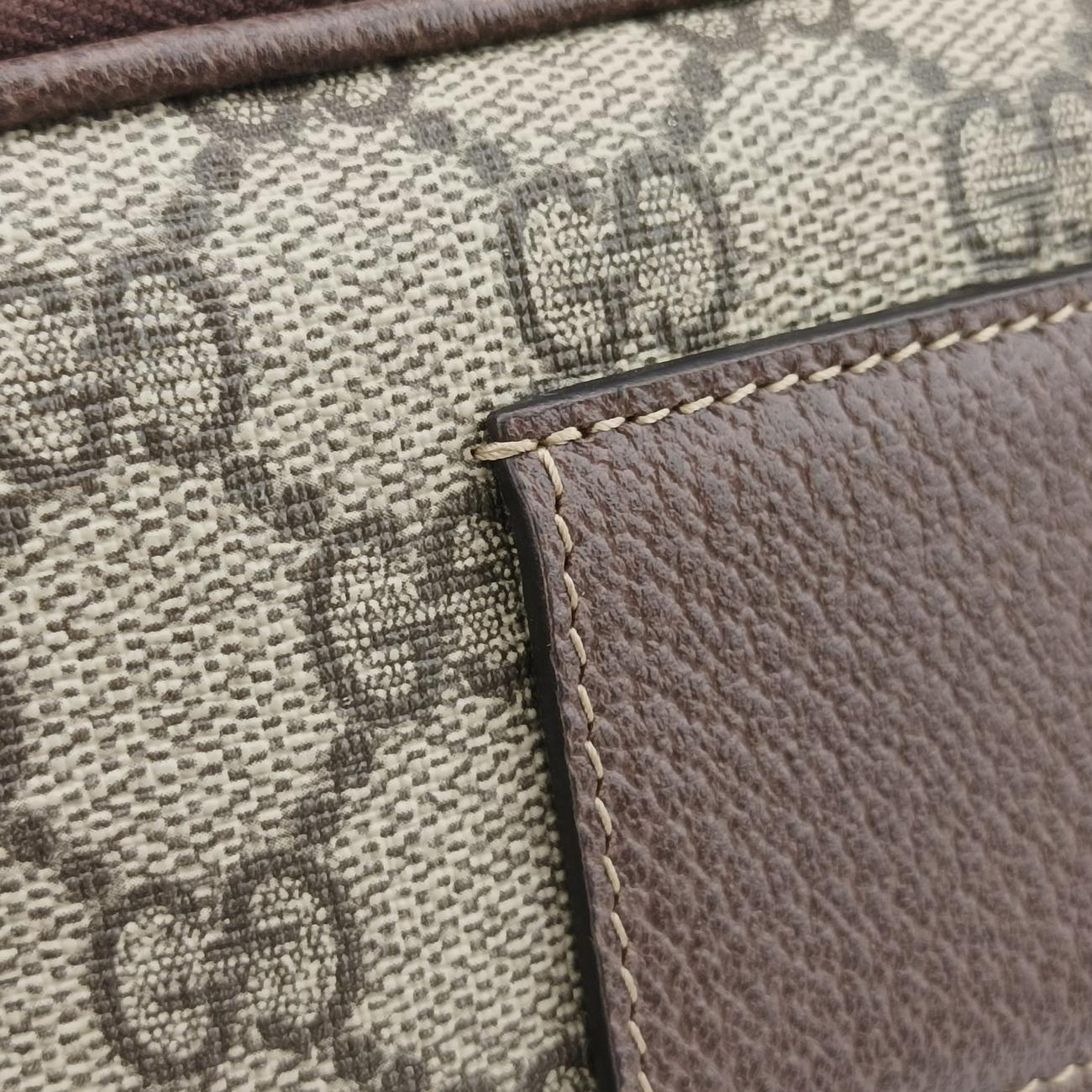 Ophidia Brown×green×red PVC coated canvas x leather 519308 オフィディア ブラウン×グリーン×レッド PVCコーティングキャンバス×レザー 519308 