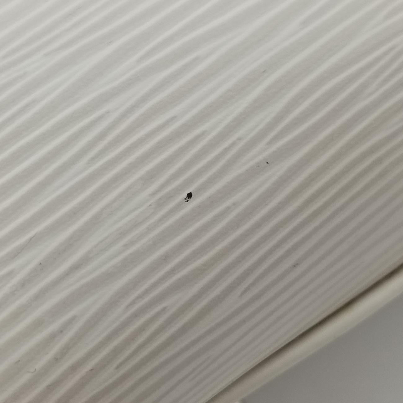 Bréa GM IVOIRE Epi M40334 Lot number unknownブレアGM イヴォワール エピ M40334 製番不明