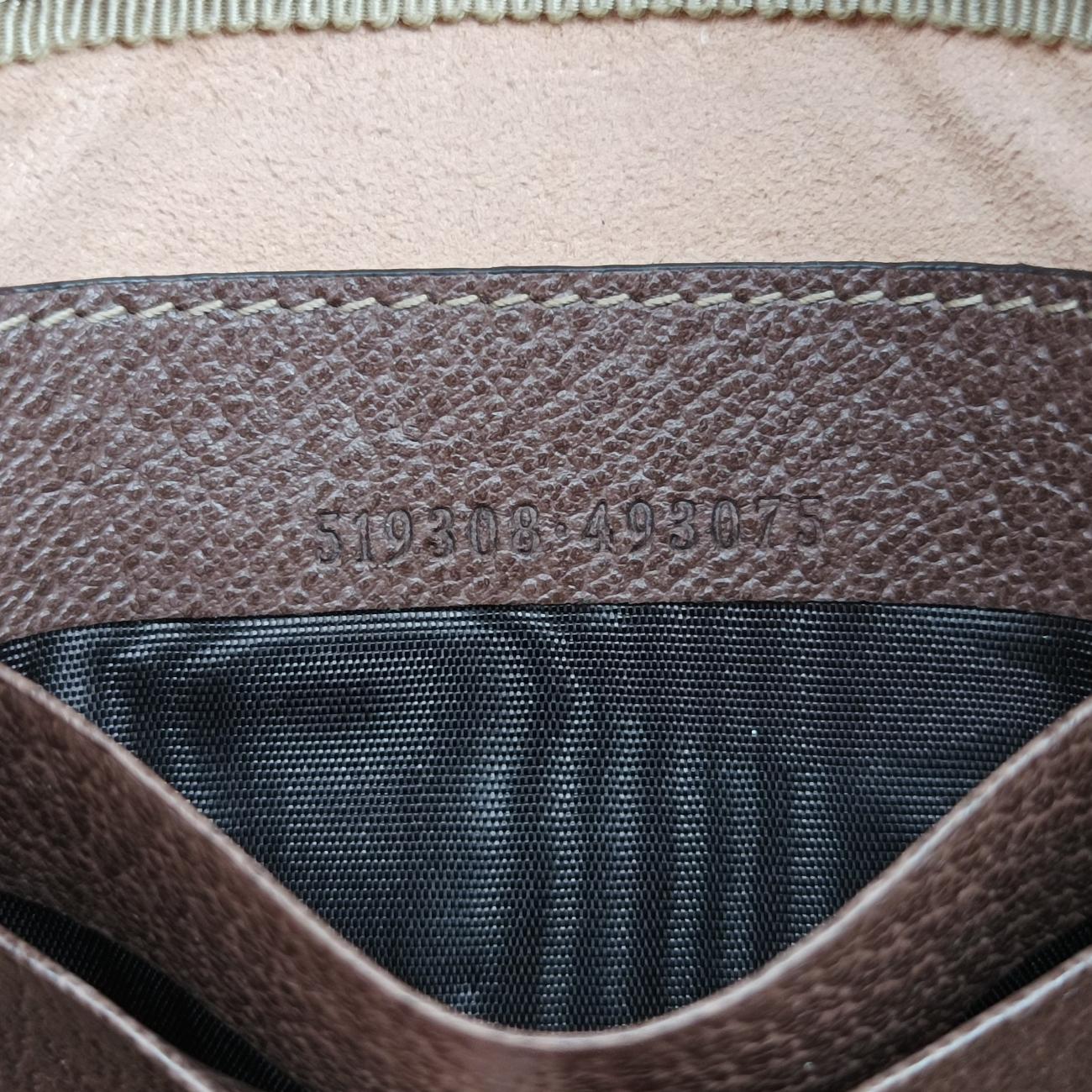 Ophidia Brown×Multicolour PVC coated canvas 519308 オフィディア ブラウン×マルチカラー PVCコーティングキャンバス 519308 