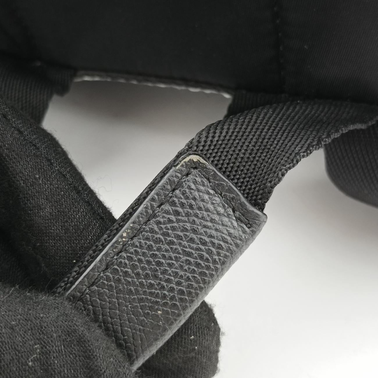 Dog  print Black×Multicolour Nylon ドッグプリント ブラック×マルチカラー ナイロン 