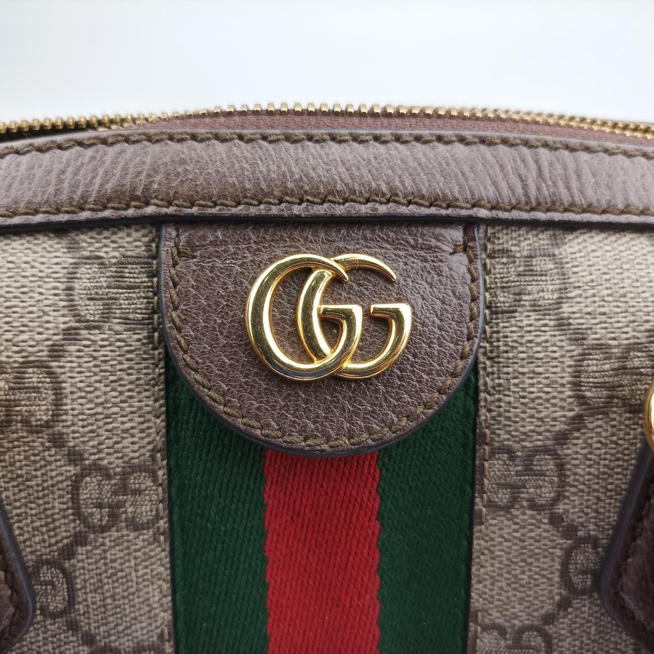 Ophidia GG Small Brown PVC coated canvas 524532 A025022316オフィディア GG スモール ブラウン PVCコーティングキャンバス 524532 A025022316