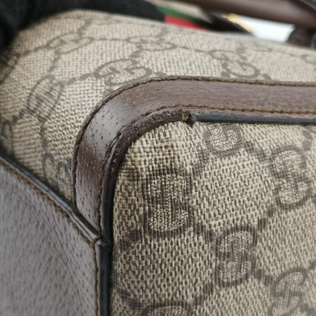 Ophidia GG Small Brown PVC coated canvas 524532 A025022316オフィディア GG スモール ブラウン PVCコーティングキャンバス 524532 A025022316