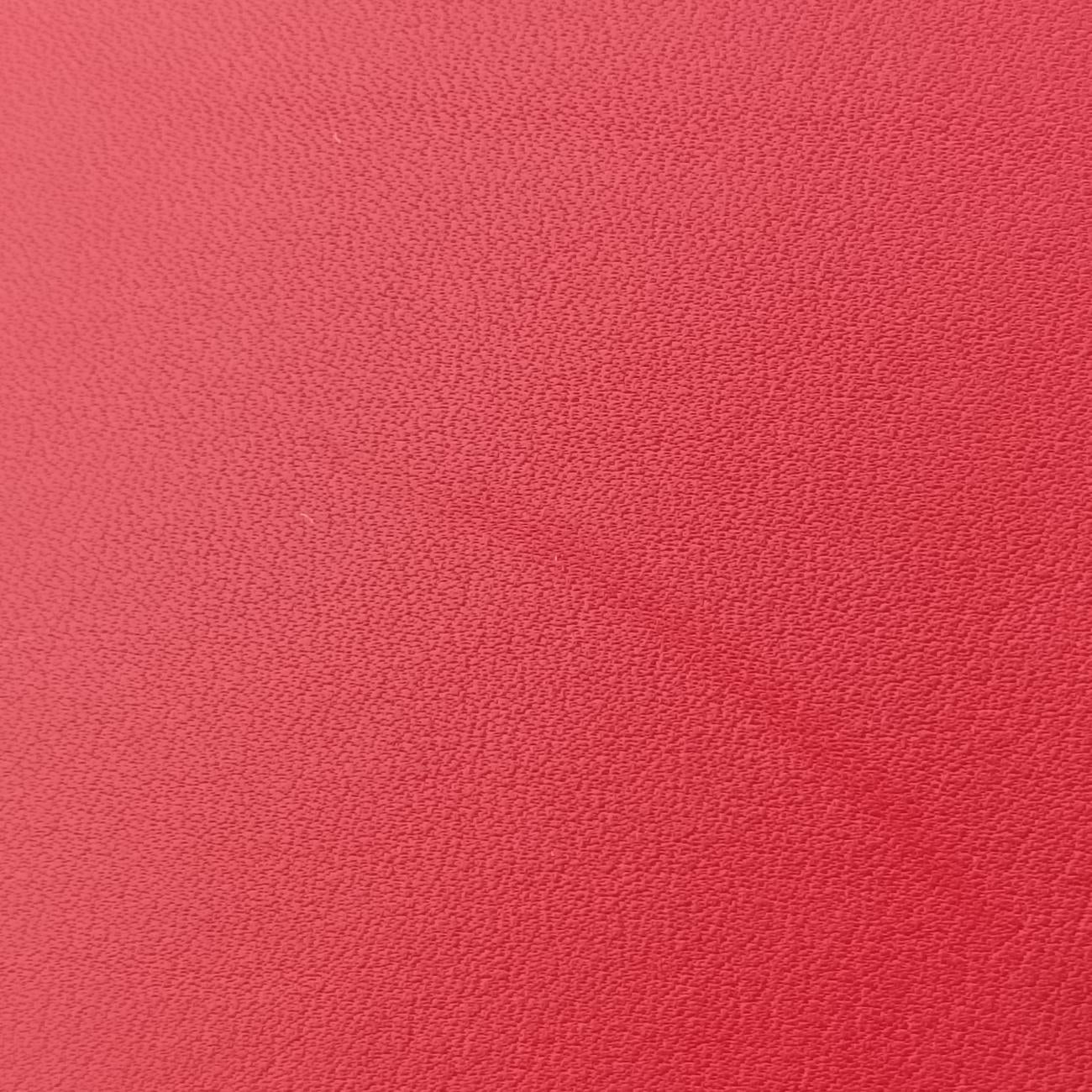 Y Ligne Petit Cabas Red Leather 311210 311210.528258Yライン プチカバス レッド レザー 311210 311210.528258