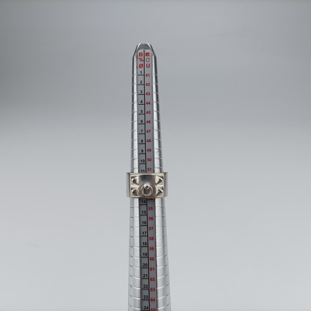 Collier de Chien Silver Ag925 コリエ ド シアン シルバー Ag925 