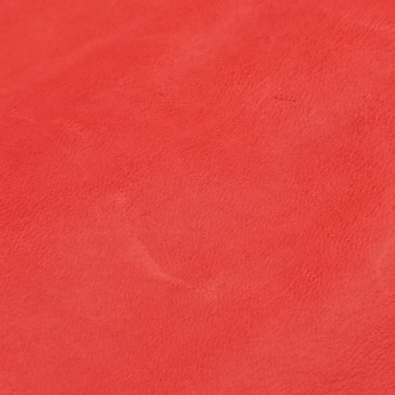 Giant Day Orange lambskin 173081.213048ジャイアントデイ オレンジ ラムスキン 173081.213048