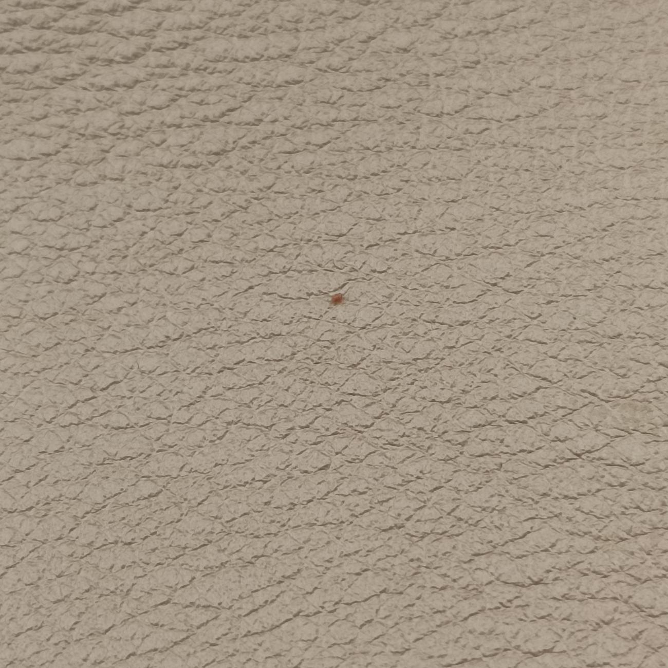 FAYE mini Grey Suede × leather 01 18 75 65フェイ ミニ グレー スエード×レザー 01 18 75 65