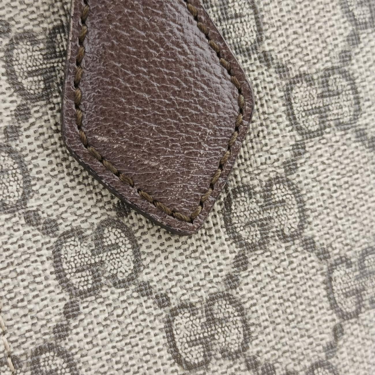 Ophidia brown×red×green PVC coated canvas 524533 C026126007オフィディア ブラウン×レッド×グリーン PVCコーティングキャンバス 524533 C026126007