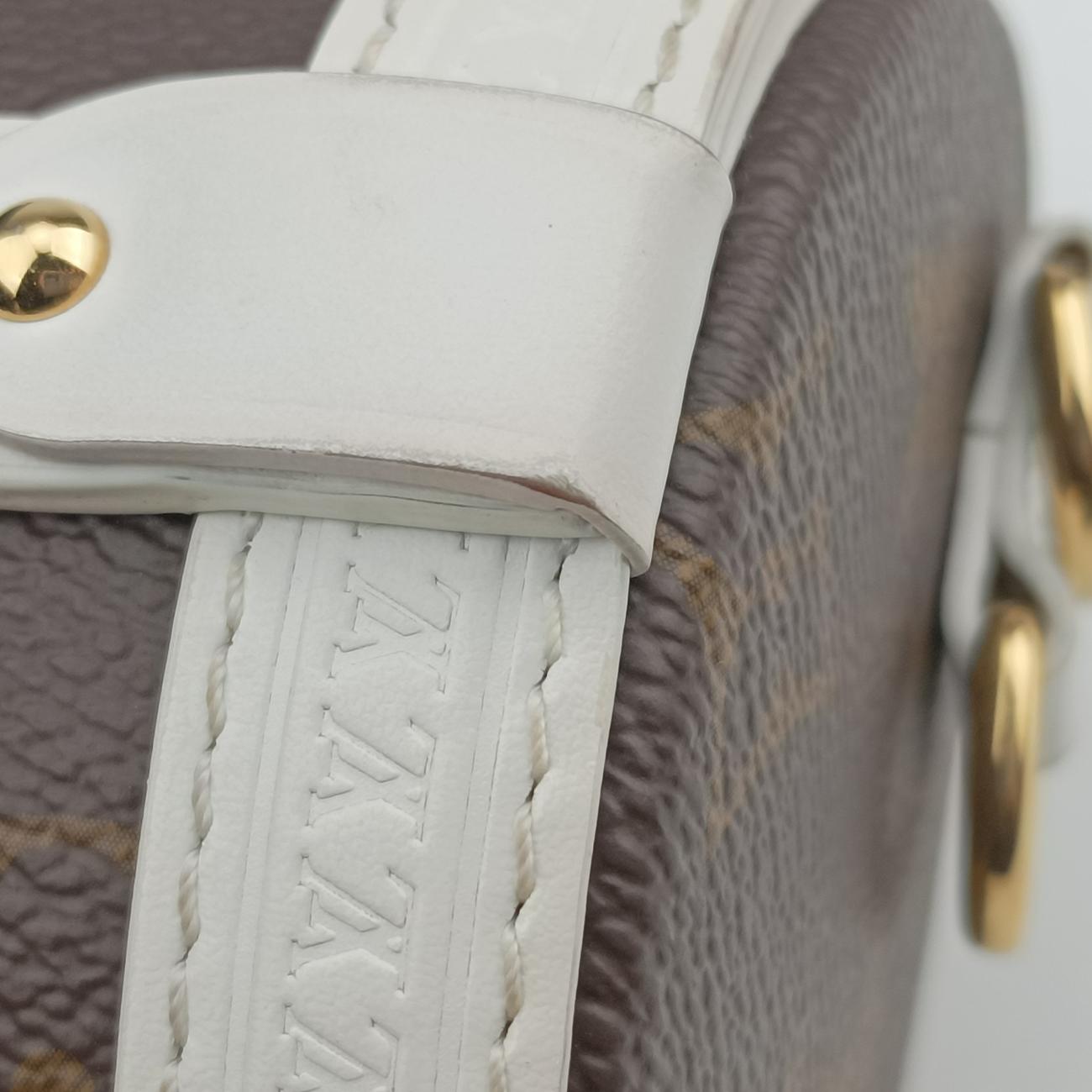 Papillon Trunk Brown×white Monogram Canvas×calf leather M81485 ICチップパピヨン トランク モノグラム/ブラウン系×ホワイト モノグラムキャンバス×カーフレザー M81485 ICチップ