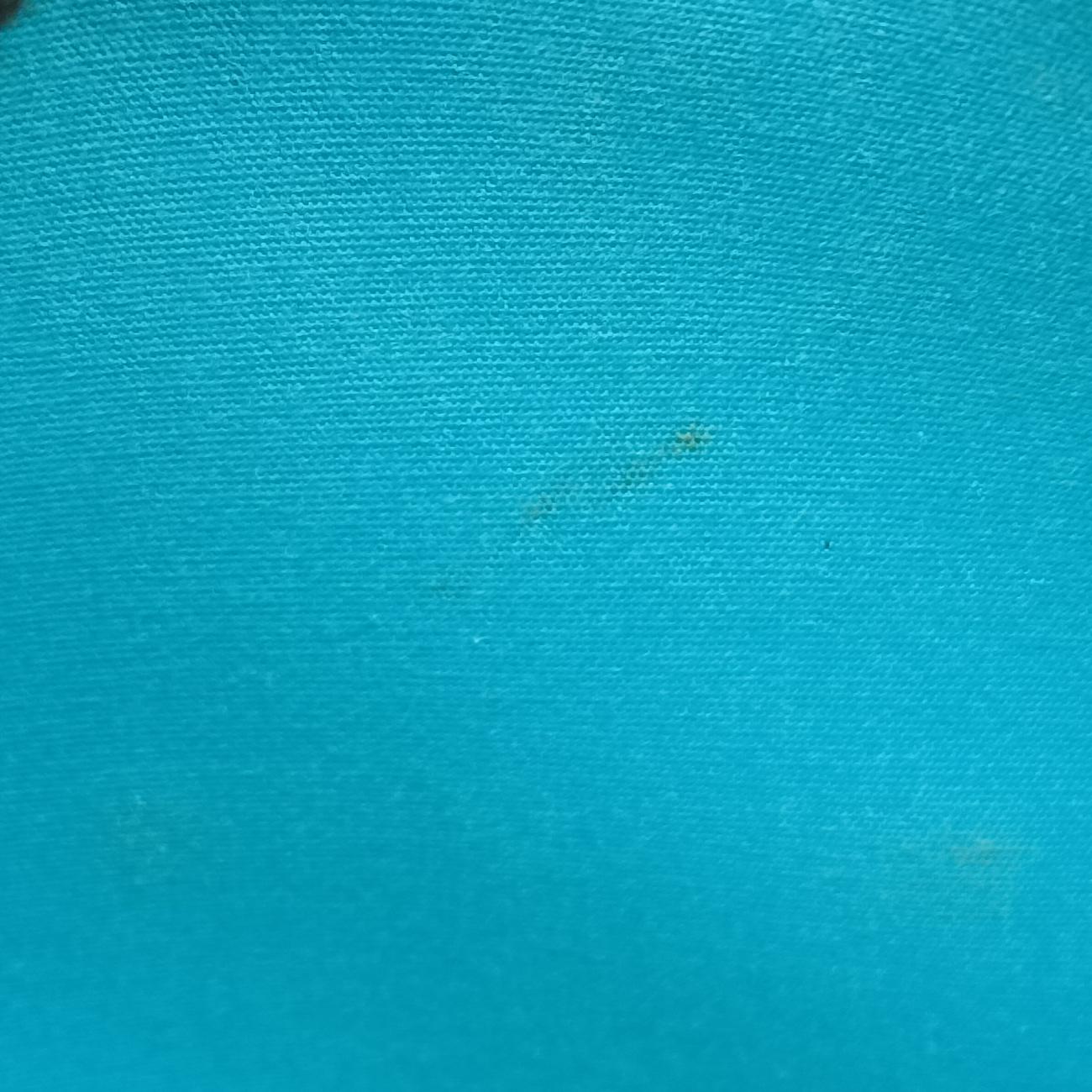 Bellflower PM Blue Lagon Vernis M91730 FL0142ベルフラワーPM ブルーラゴン ヴェルニ M91730 FL0142