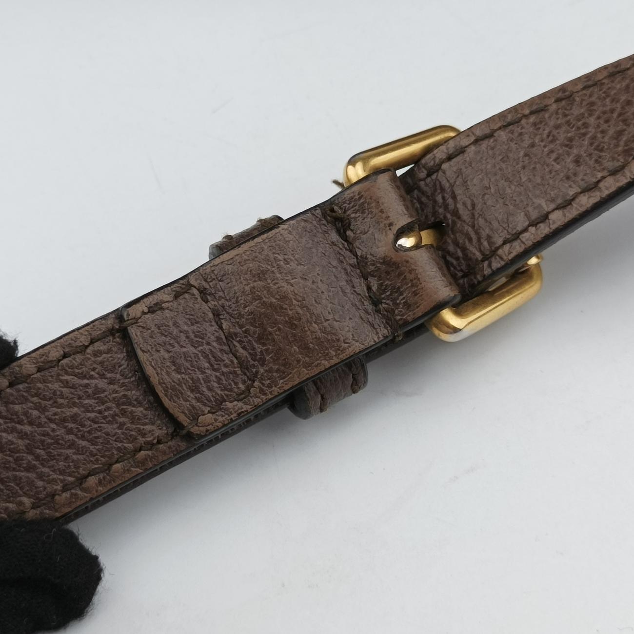 Ophidia Brown x Red x Green PVC coated canvas 547934 C028533800オフィディア ブラウン×レッド×グリーン PVCコーティングキャンバス 547934 C028533800