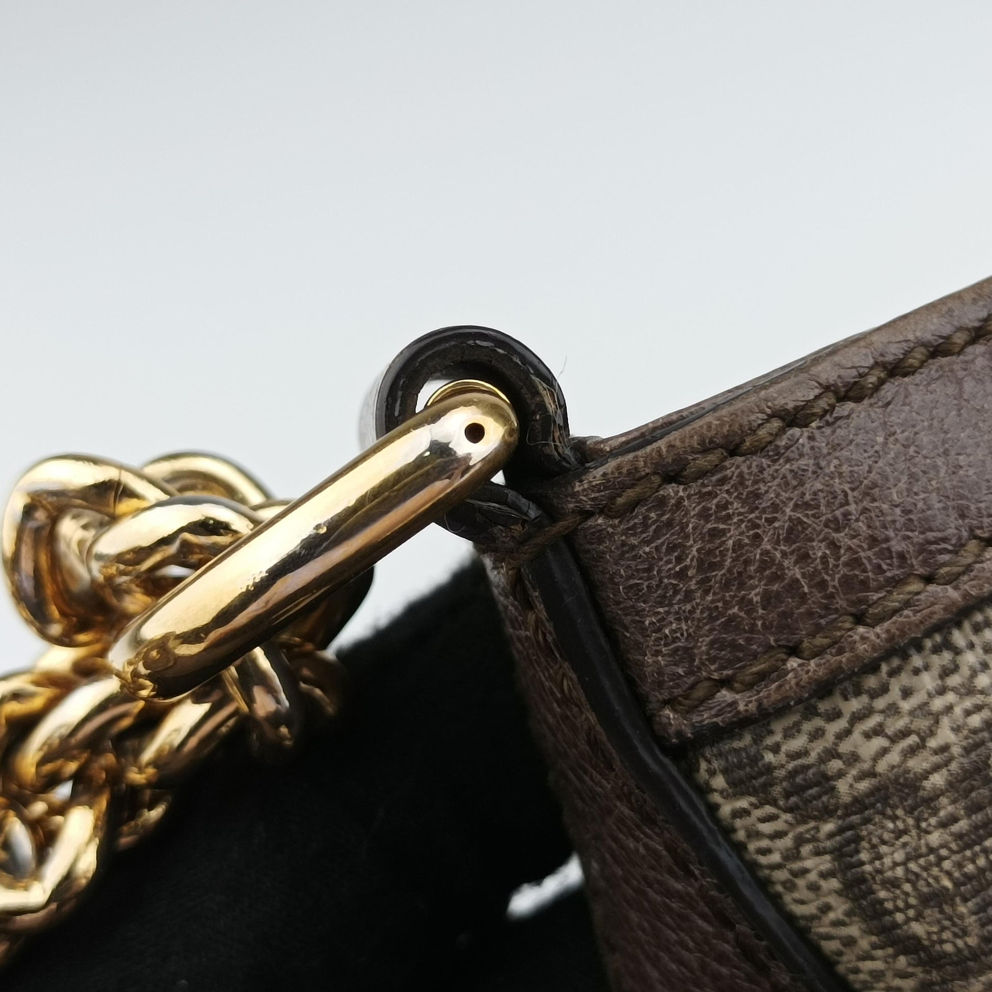 Dionysus beige×Brown PVC coated canvas 499622 B024033910ディオニュソス ベージュ×ブラウン PVCコーティングキャンバス 499622 B024033910