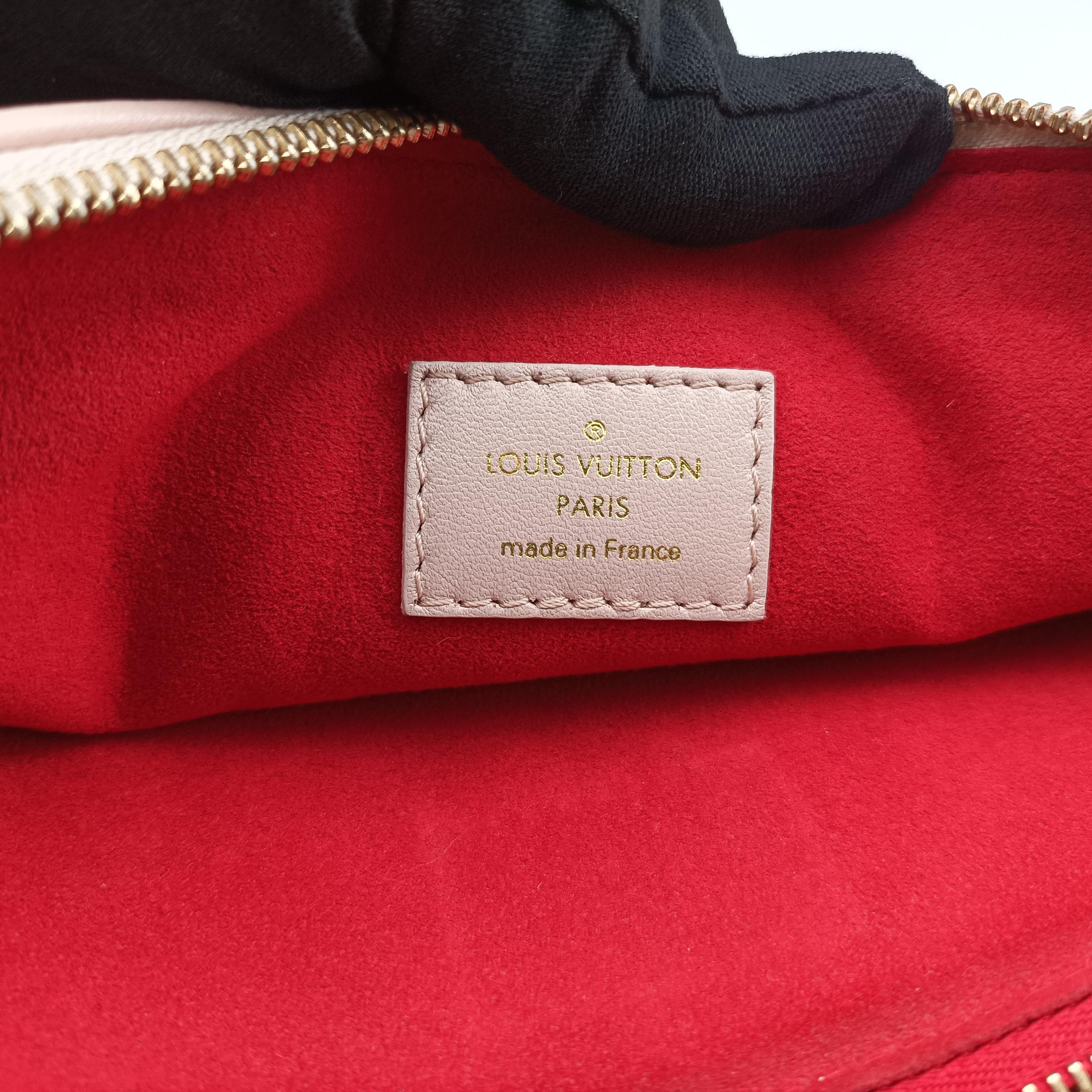 Coussin PM Pink leather M58739 IC Chipクッサン PM ピンク レザー M58739 ICチップ