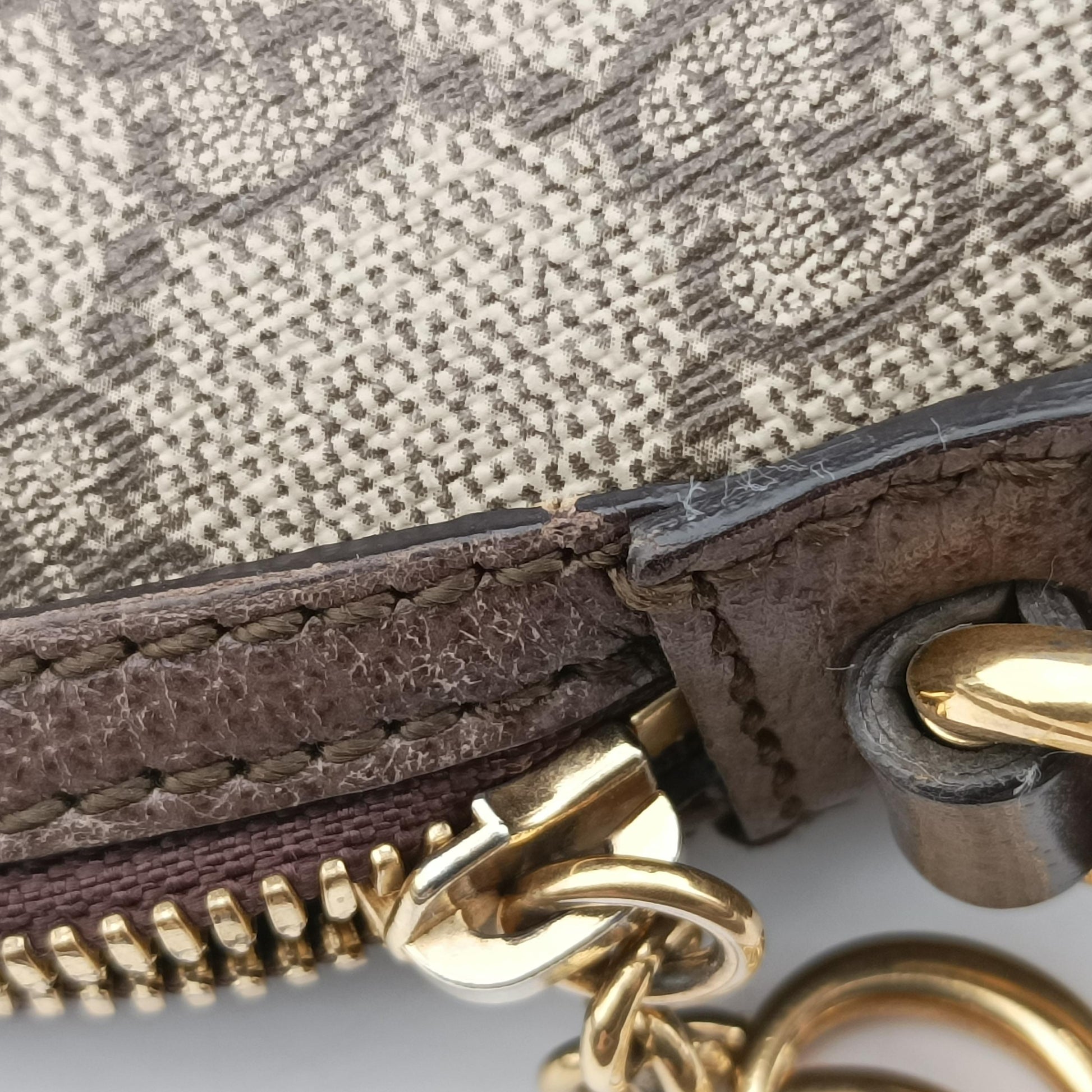 Ophidia Brown x Red x Green PVC coated canvas 499621 D024587661オフィディア ブラウン×レッド×グリーン PVCコーティングキャンバス 499621 D024587661