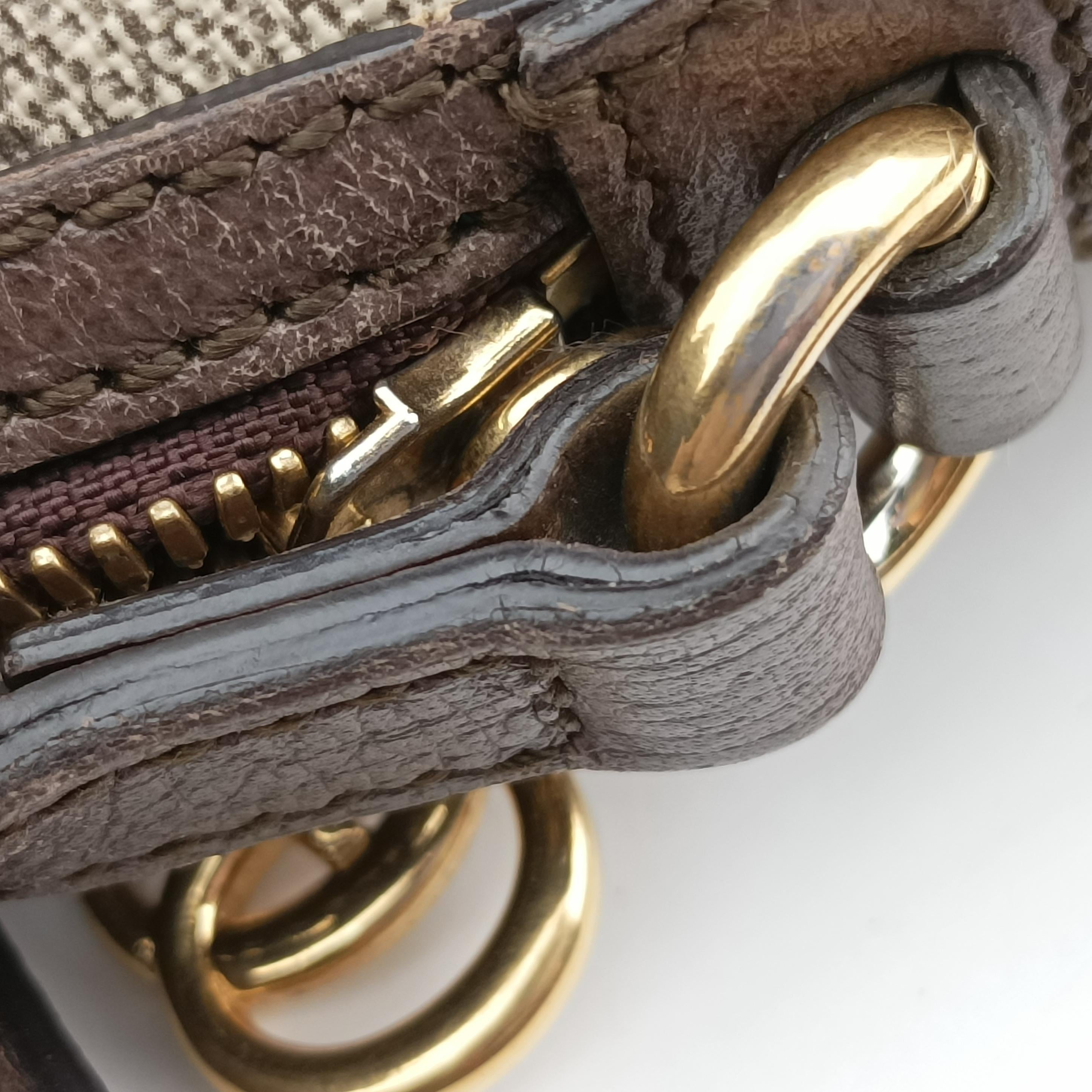 Ophidia Brown x Red x Green PVC coated canvas 499621 D024587661オフィディア ブラウン×レッド×グリーン PVCコーティングキャンバス 499621 D024587661