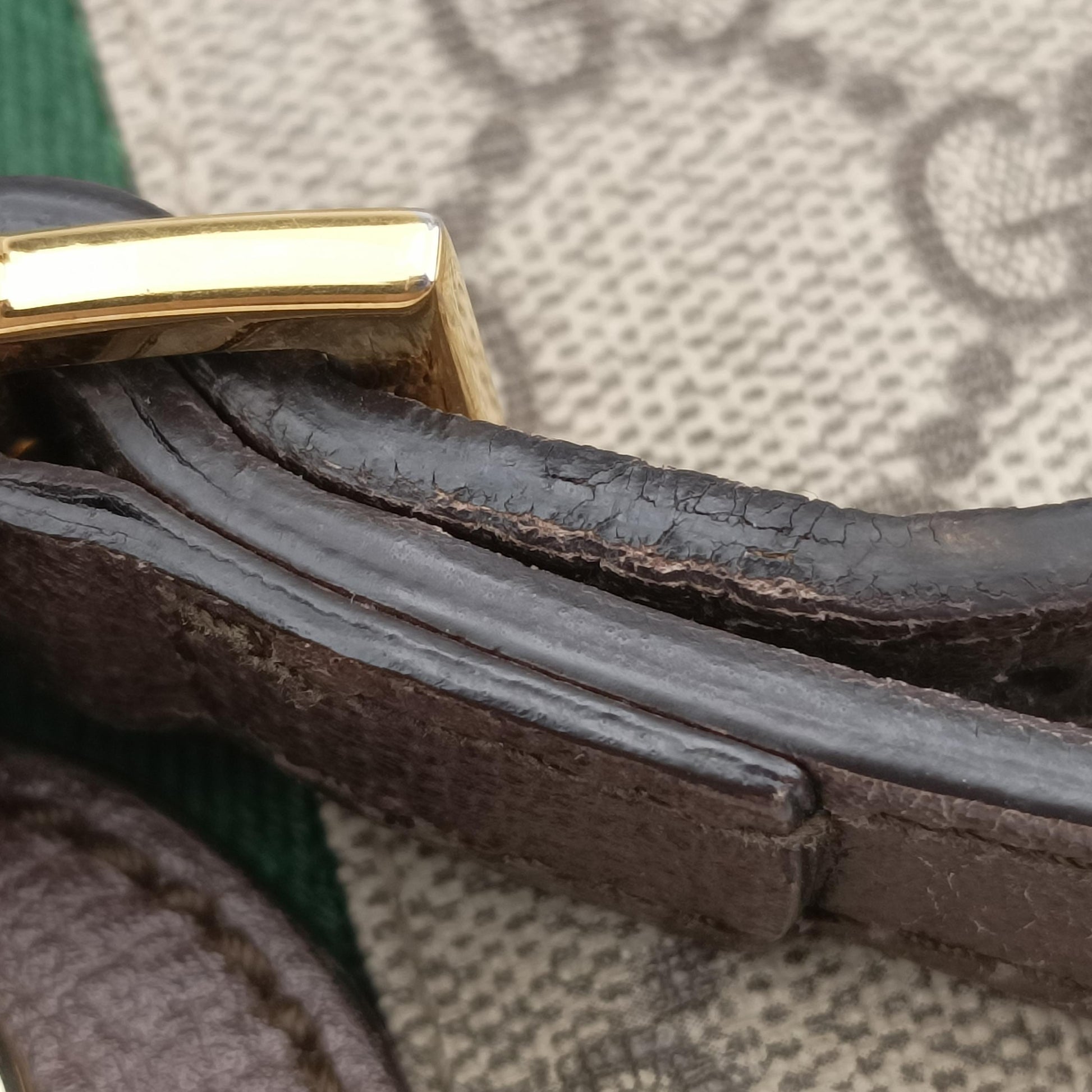 Ophidia Brown x Red x Green PVC coated canvas 499621 D024587661オフィディア ブラウン×レッド×グリーン PVCコーティングキャンバス 499621 D024587661