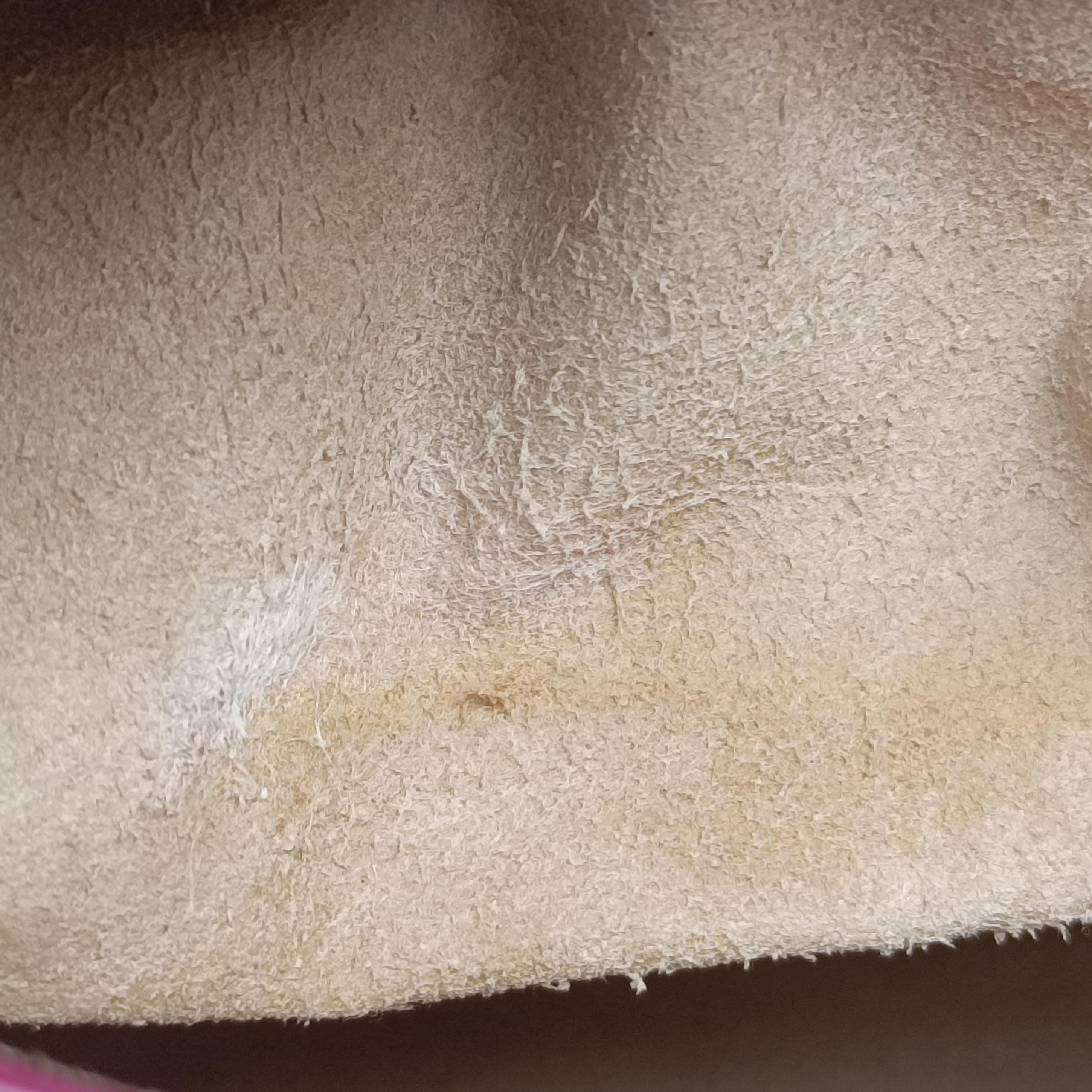 Pandora Rose Leather TE0164パンドラ ローズ レッド レザー TE0164