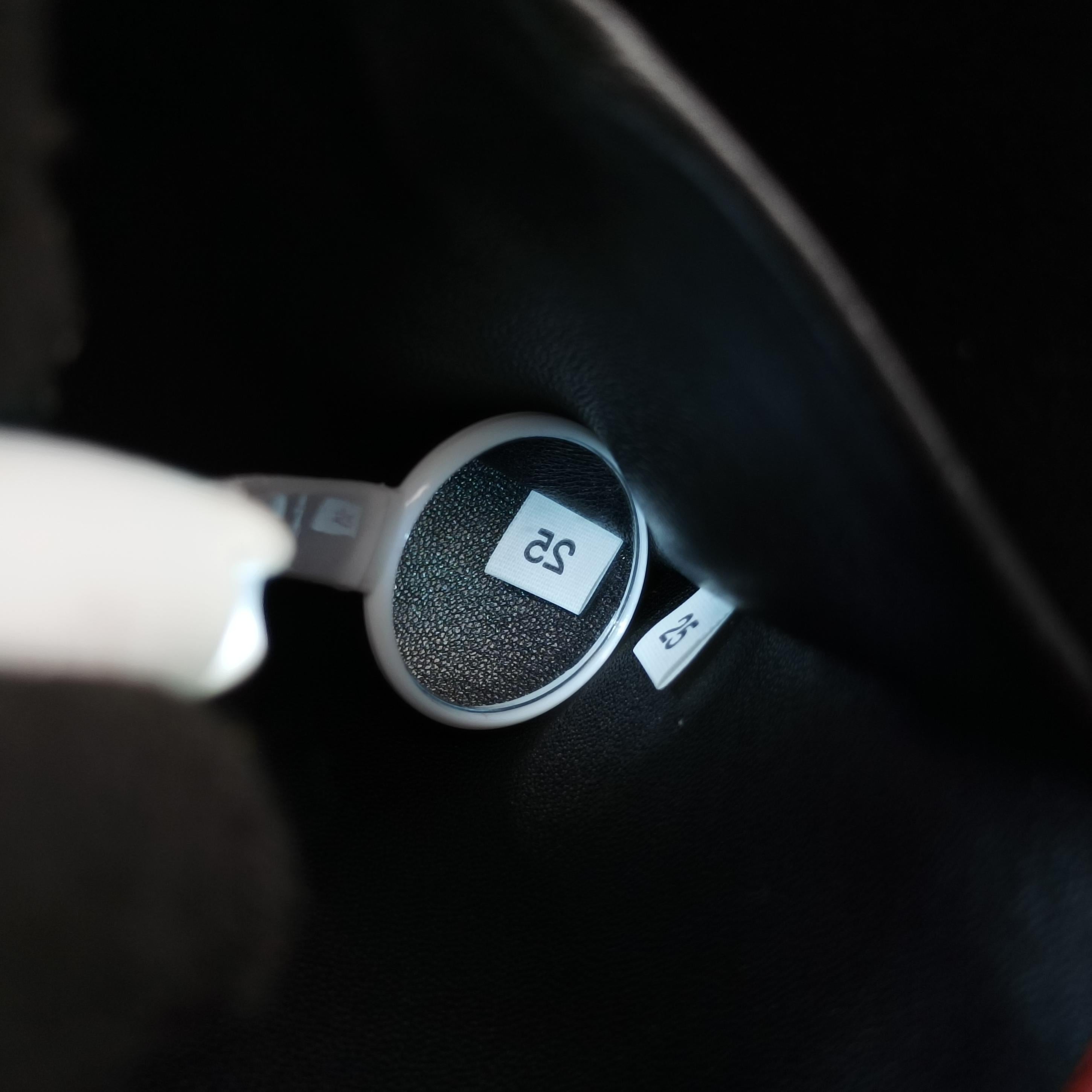 Animalier Cahier Lions Head Red×black Leather 1BD089 25カイエ ライオンヘッド レッド×ブラック レザー 1BD089 25