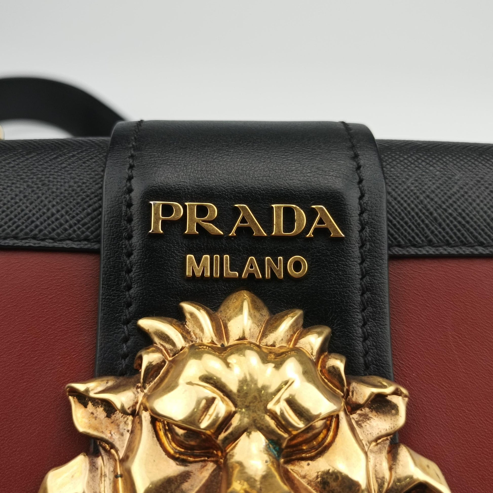 Animalier Cahier Lions Head Red×black Leather 1BD089 25カイエ ライオンヘッド レッド×ブラック レザー 1BD089 25