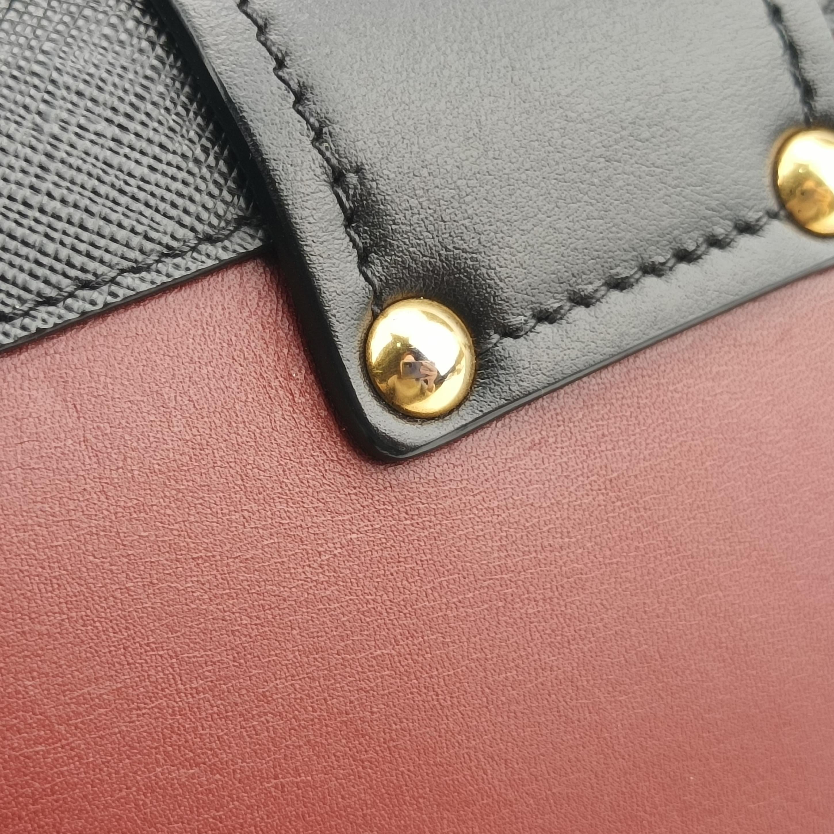 Animalier Cahier Lions Head Red×black Leather 1BD089 25カイエ ライオンヘッド レッド×ブラック レザー 1BD089 25