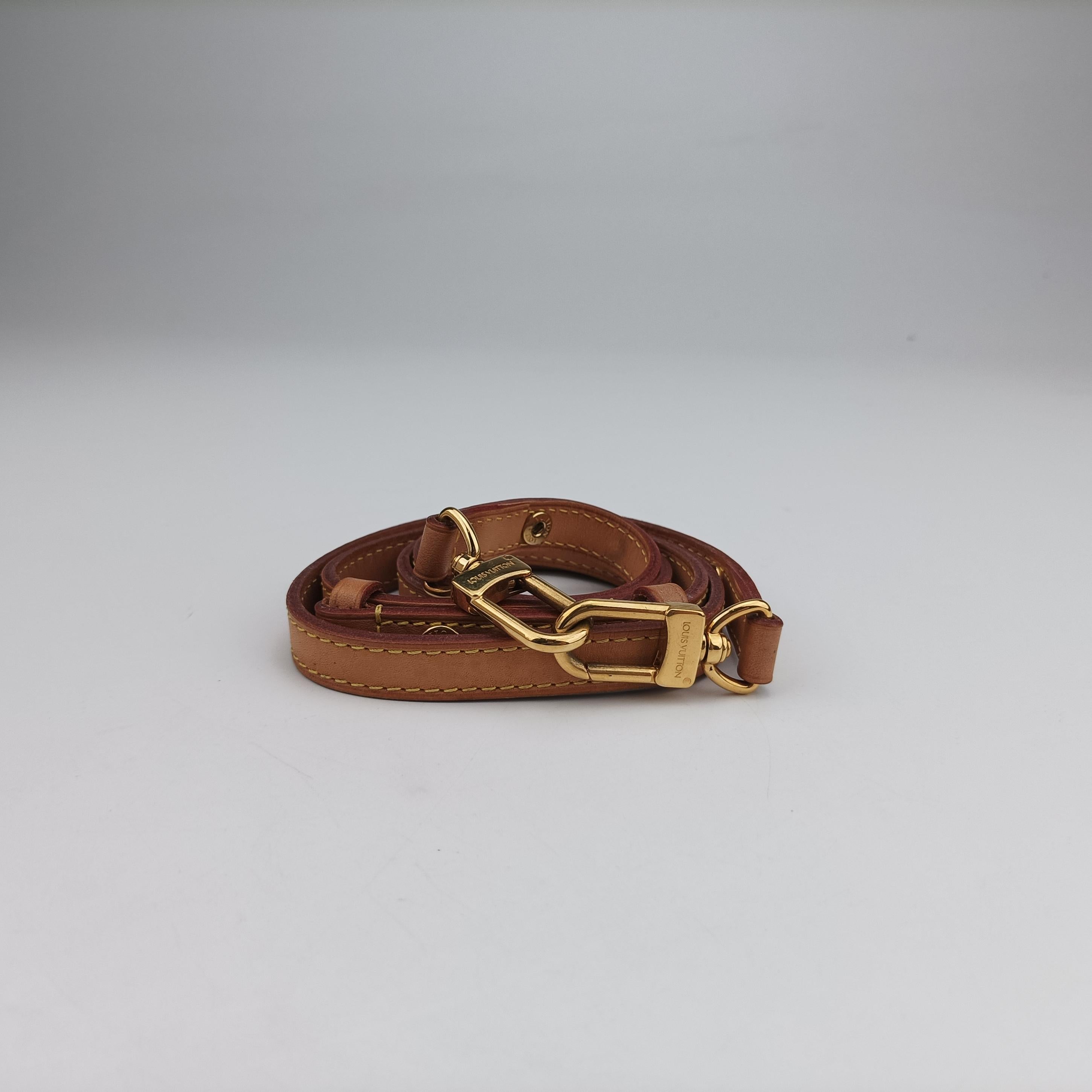 NeoNoeSummer Trunk Azur×multi Damier Canvas N41066 SP0198ネオノエ サマートランク アズール×マルチ ダミエキャンバス N41066 SP0198