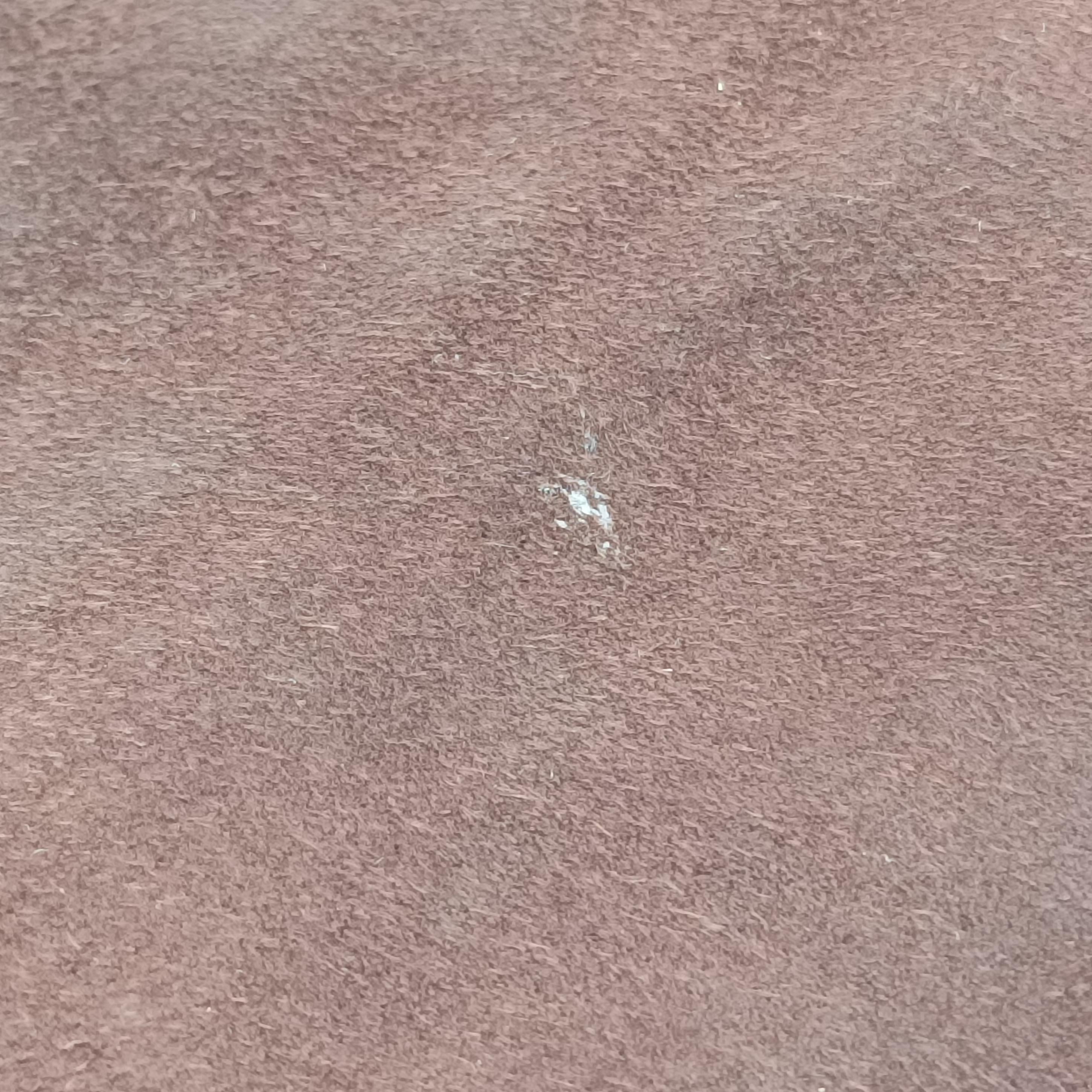 Baguette Brown Suede 26565 2308-26565-089バケット ブラウン スエード 26565 2308-26565-089