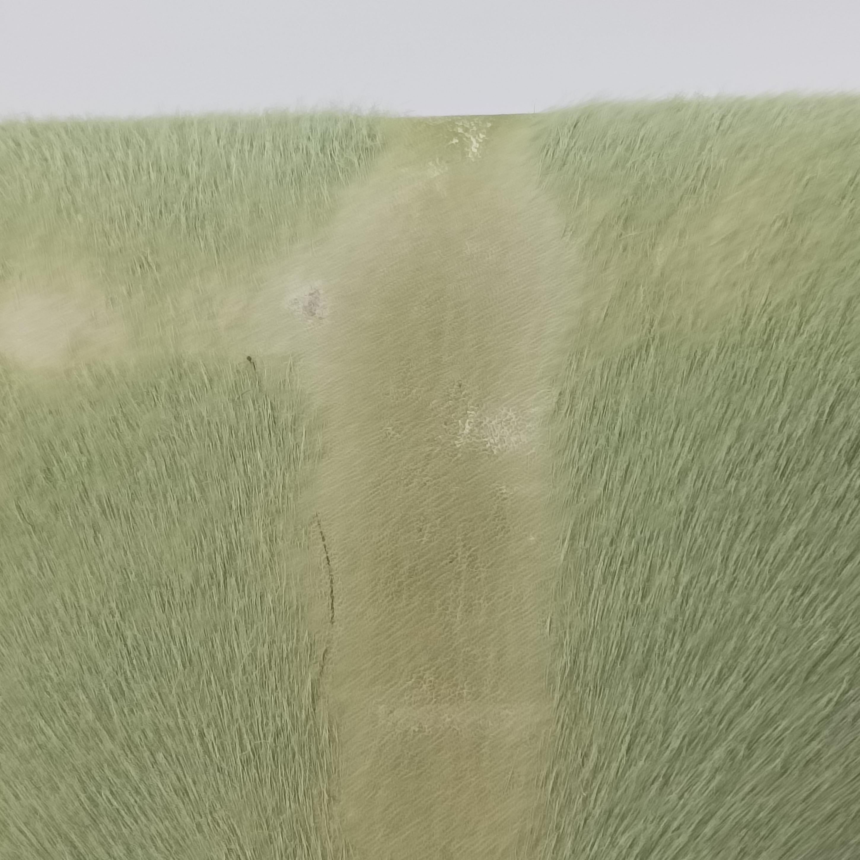 Luggage Mini Shopper Black x Green Leather×ponyhair S-GA-0183ラゲージミニショッパー ブラック×グリーン レザー×ハラコ S-GA-0183