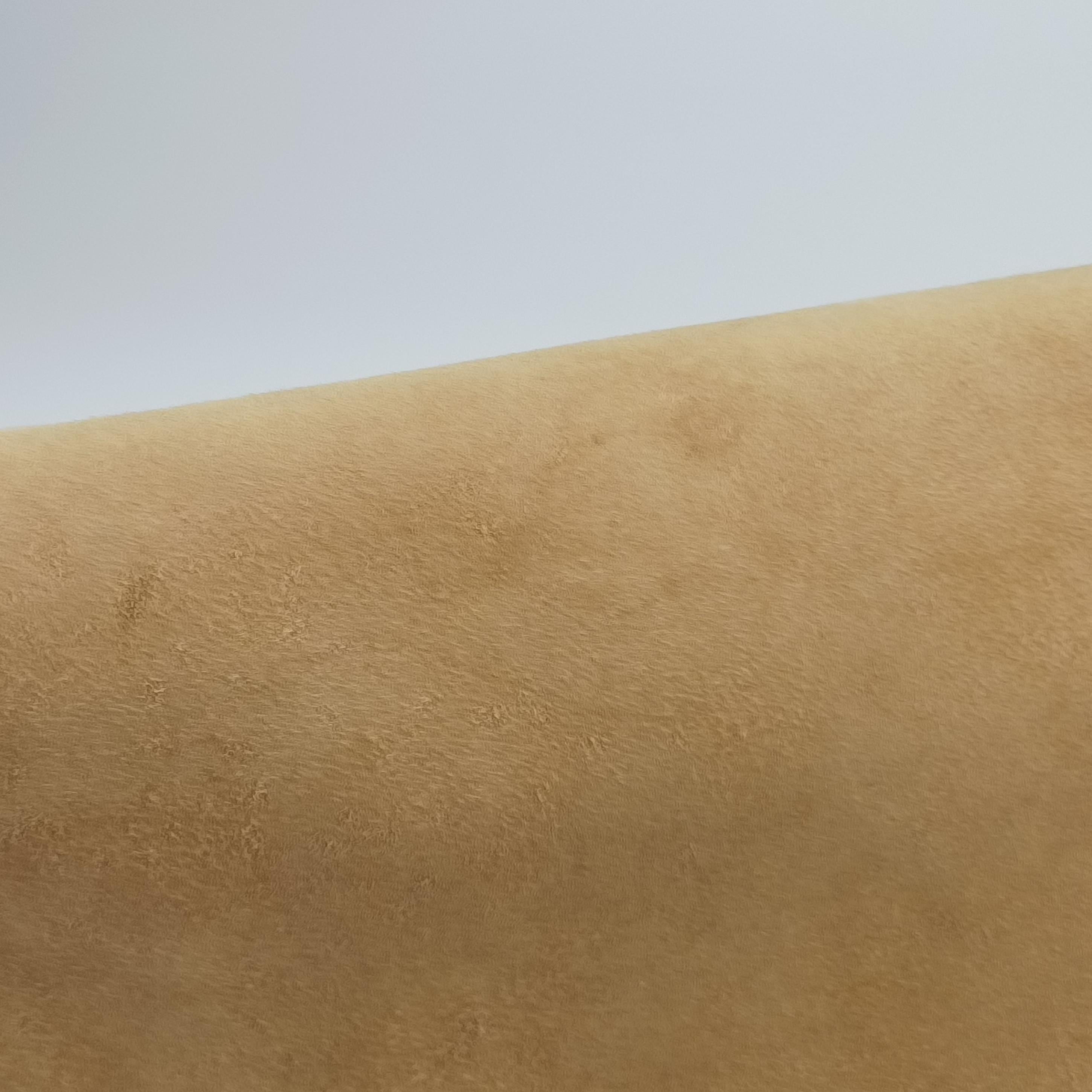 Baguette beige suede 001632 001632.001マンマバケット ベージュ スエード 001632 001632.001