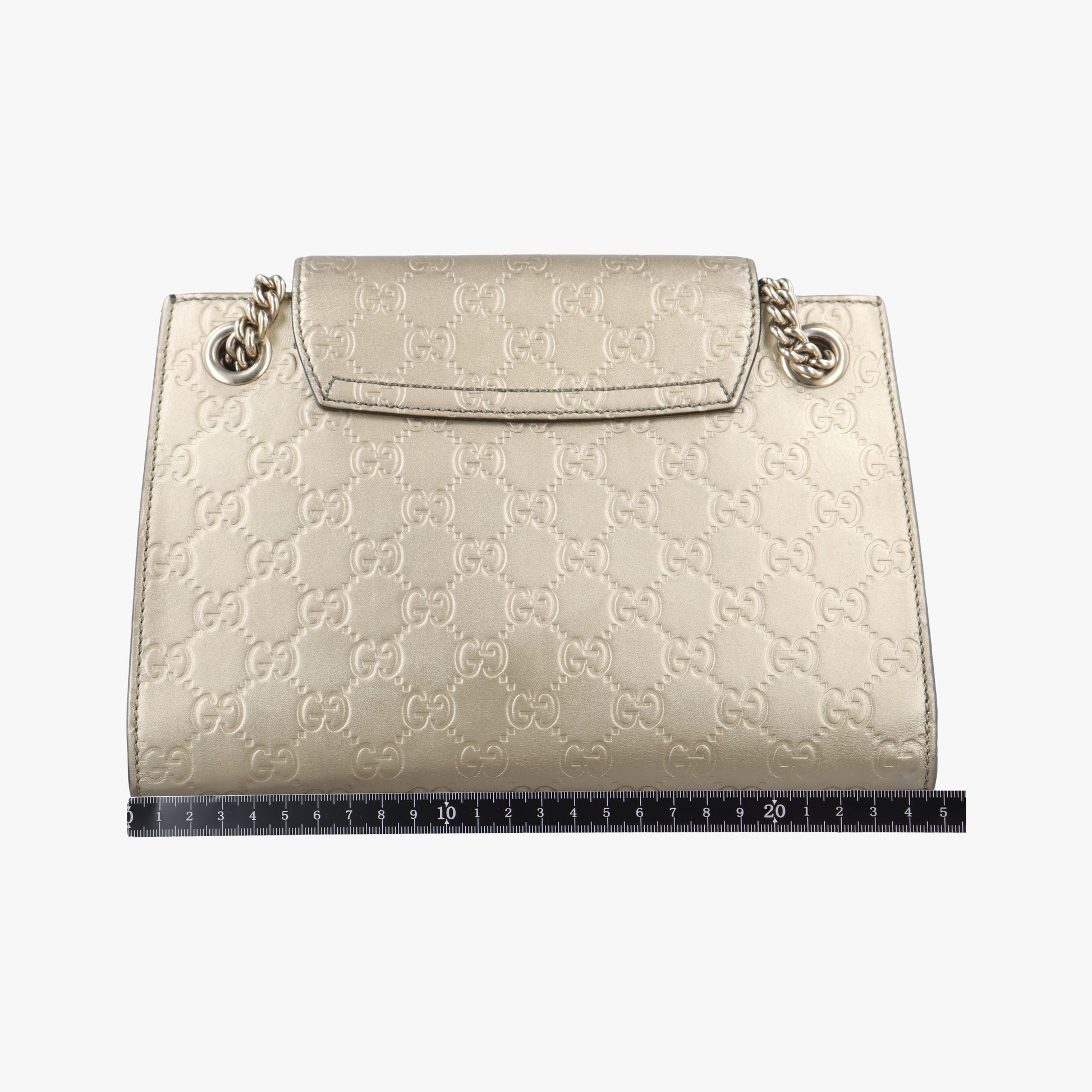 Emily Golden Leather 369621 Lot number unknownエミリー ゴールド レザー 369621 製番不明