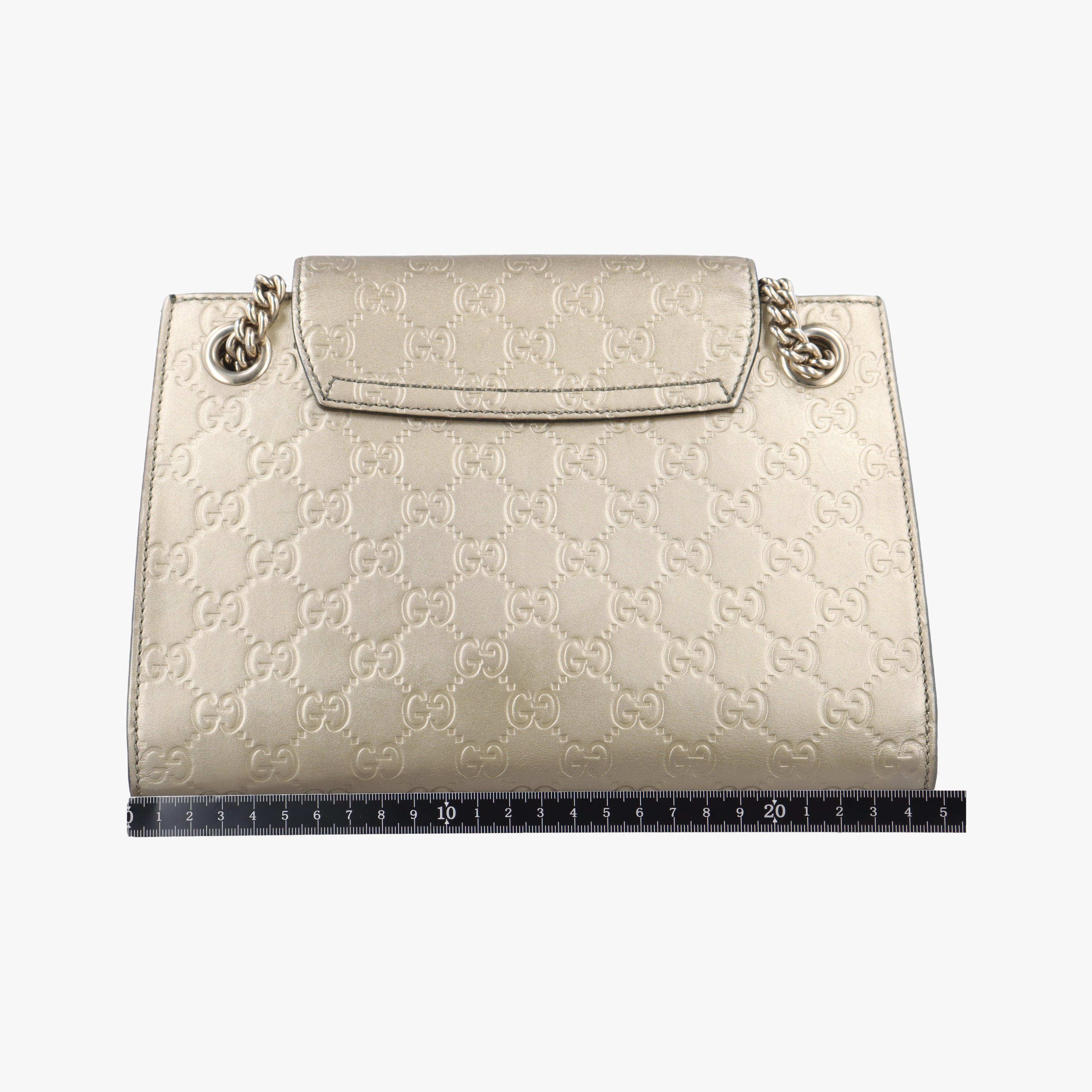 Emily Golden Leather 369621 Lot number unknownエミリー ゴールド レザー 369621 製番不明