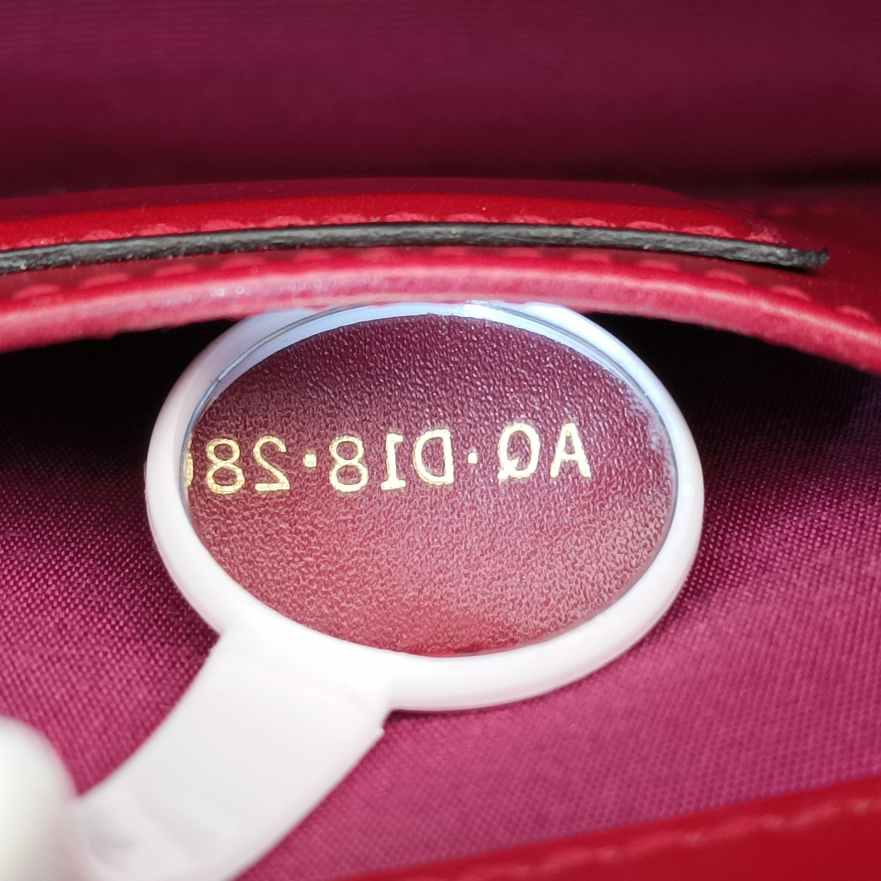 SERPENTI FOREVER Red Leather AQ.D18.280165セルペンティ フォーエバー レッド レザー AQ.D18.280165