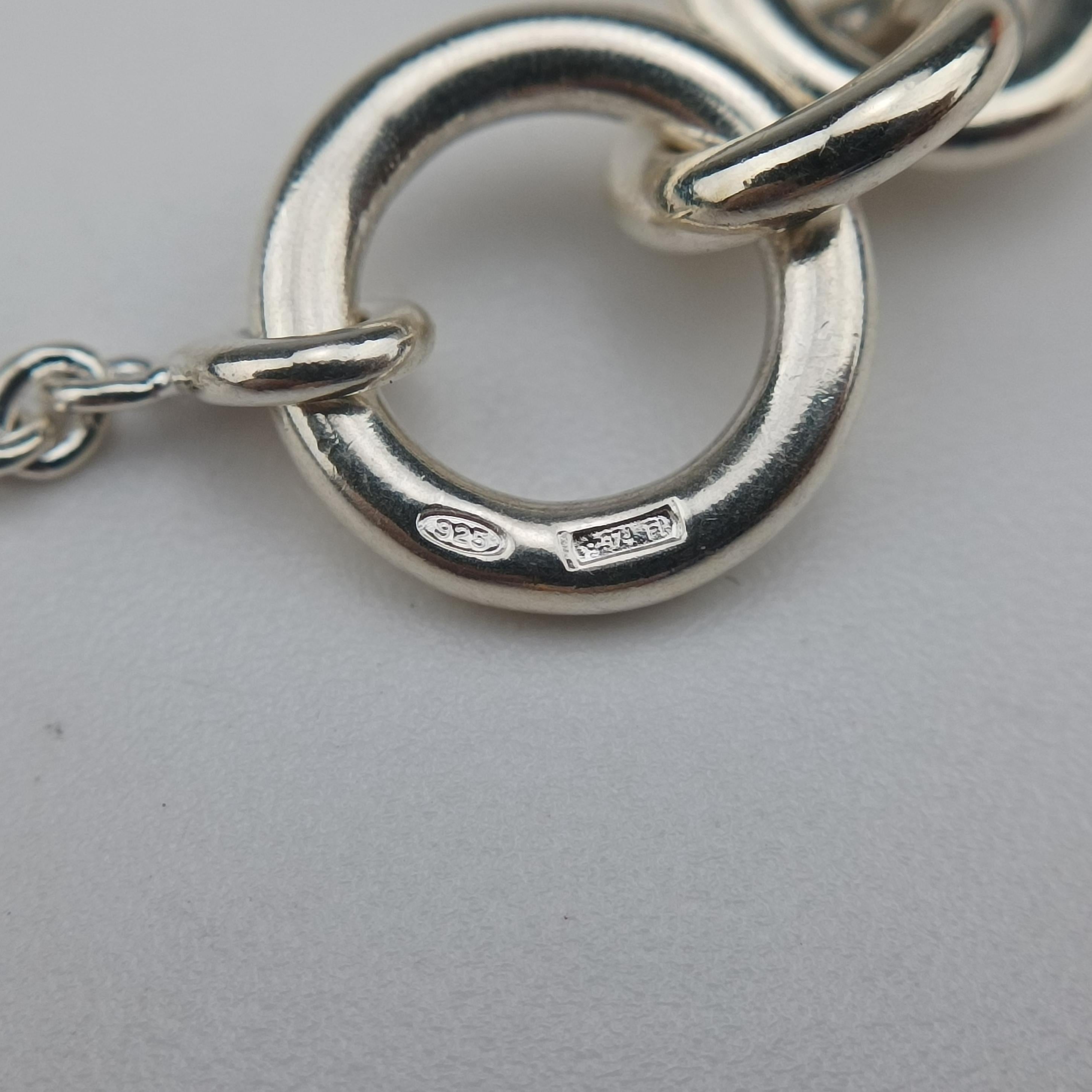 Chaine d'ancre Amulet Silver Ag925 シェーヌダンクル アミュレット シルバー Ag925 