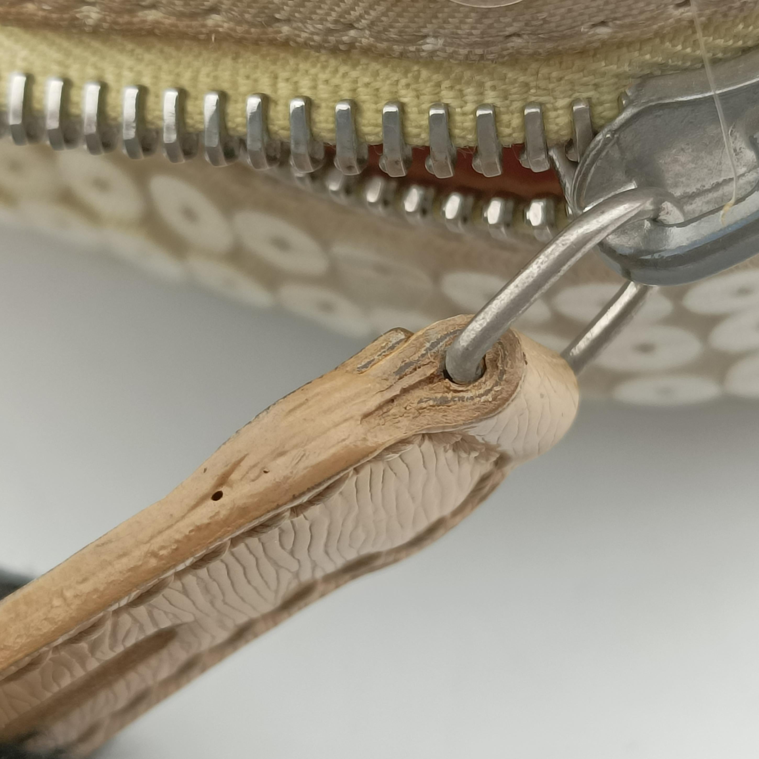 Zucchino Glitter Logo Yellow×Multicolour sequins 8BL068 2305/8BL068/AN9/098スパンコールイエローグラデーション イエロー×マルチカラー スパンコール 8BL068 2305/8BL068/AN9/098