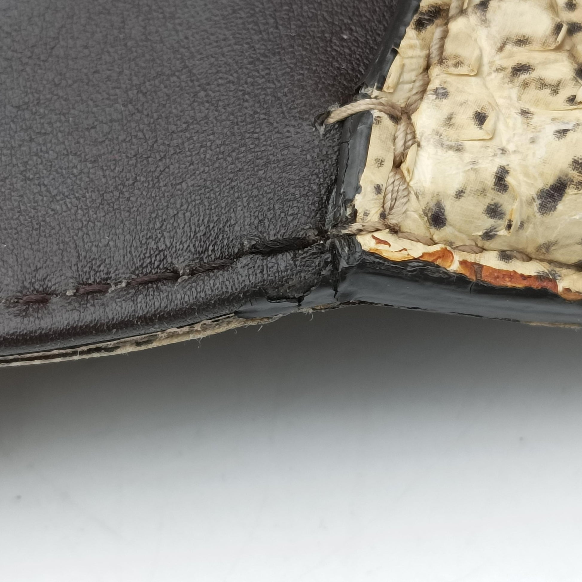 Dionysus Brown×Multicolor PVC coated canvas 400249 A020563373ディオニュソス ブラウン×マルチカラー PVCコーティングキャンバス 400249 A020563373