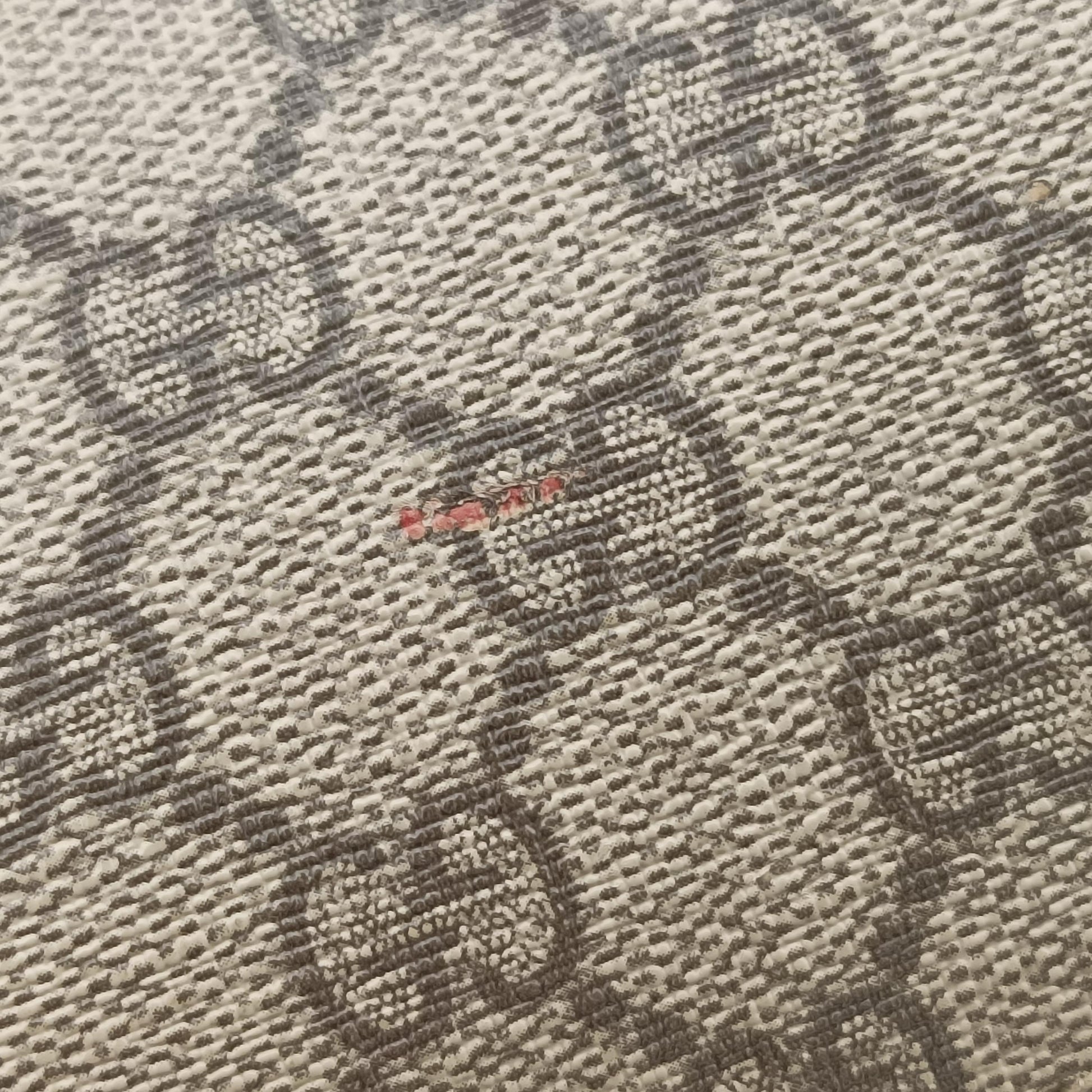 Dionysus Brown×Multicolor PVC coated canvas 400249 A020563373ディオニュソス ブラウン×マルチカラー PVCコーティングキャンバス 400249 A020563373