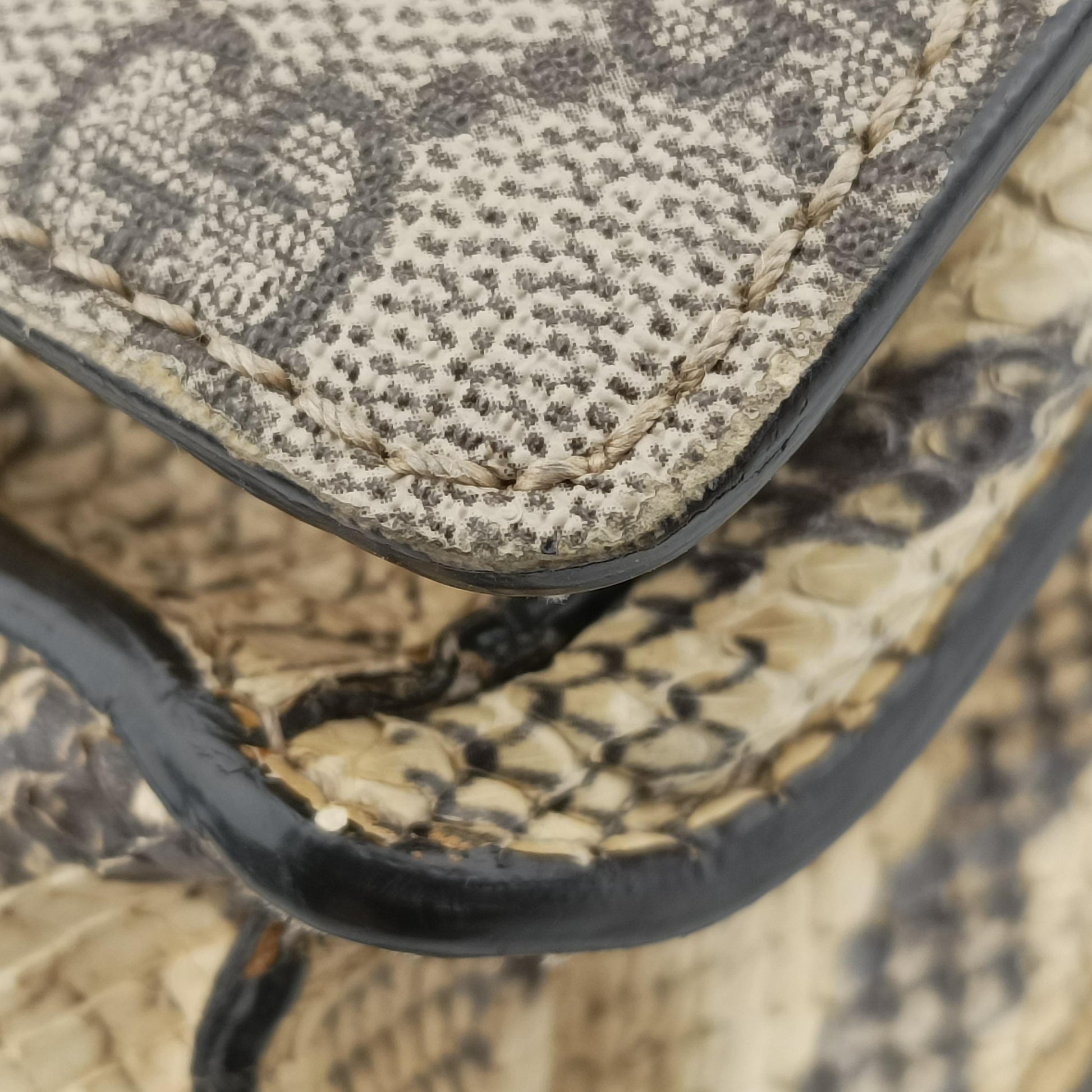 Dionysus Brown×Multicolor PVC coated canvas 400249 A020563373ディオニュソス ブラウン×マルチカラー PVCコーティングキャンバス 400249 A020563373