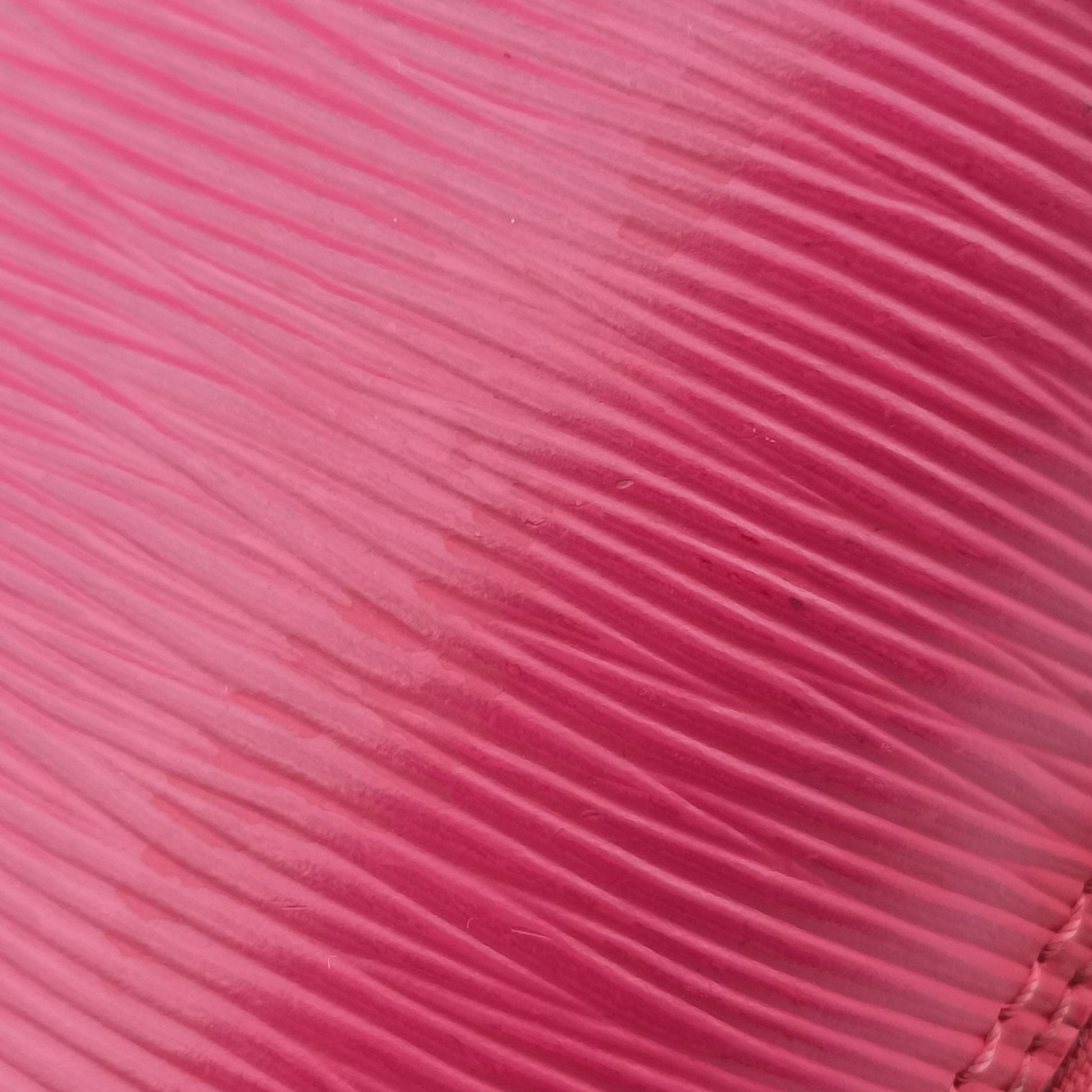 Alma BB ROSE PONDICHERY Epi M57341 FL4164アルマBB ローズ ポンディシェリ エピ M57341 FL4164